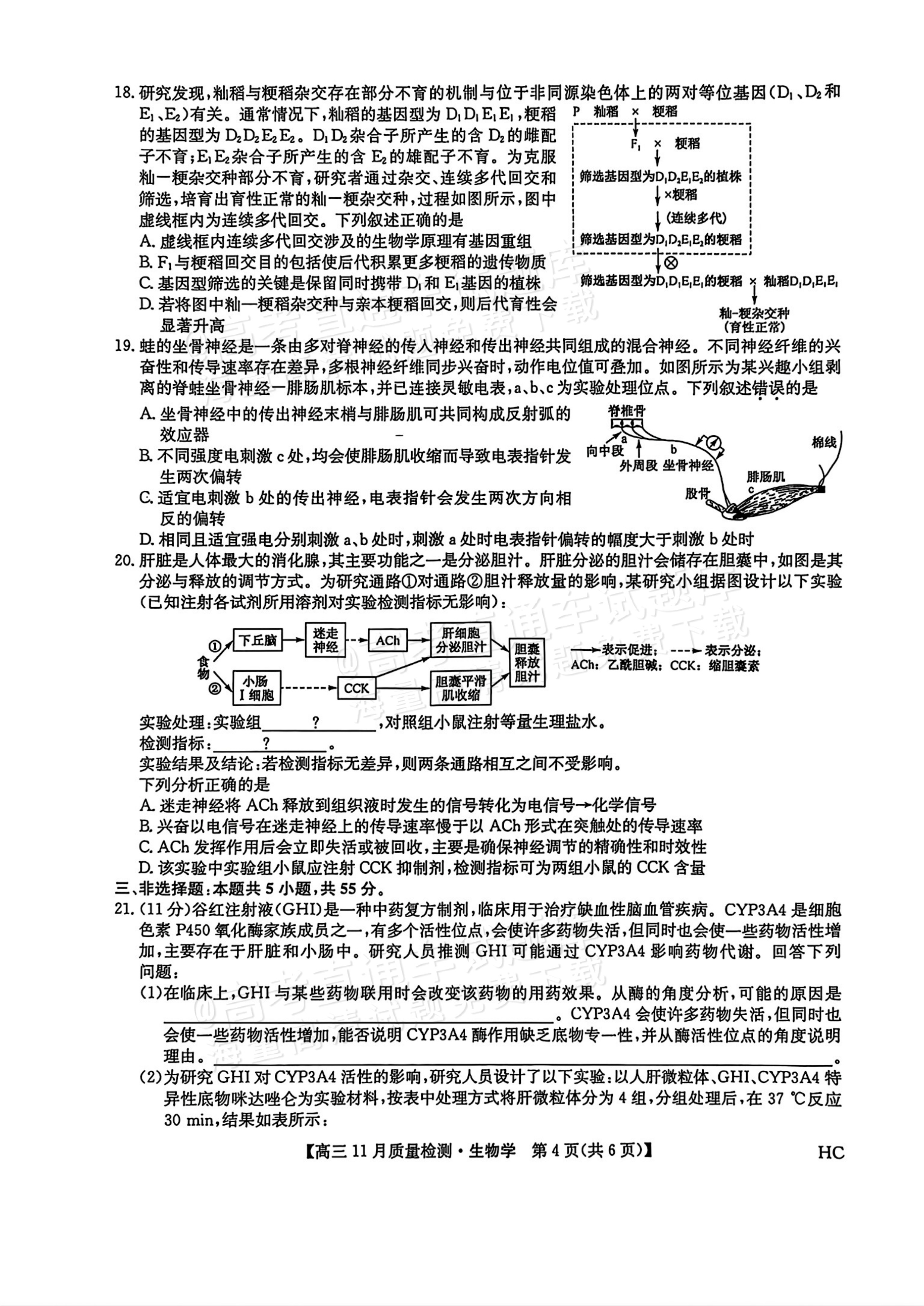 2026九师联盟高三11月联考生物试题及参考答案 第4页