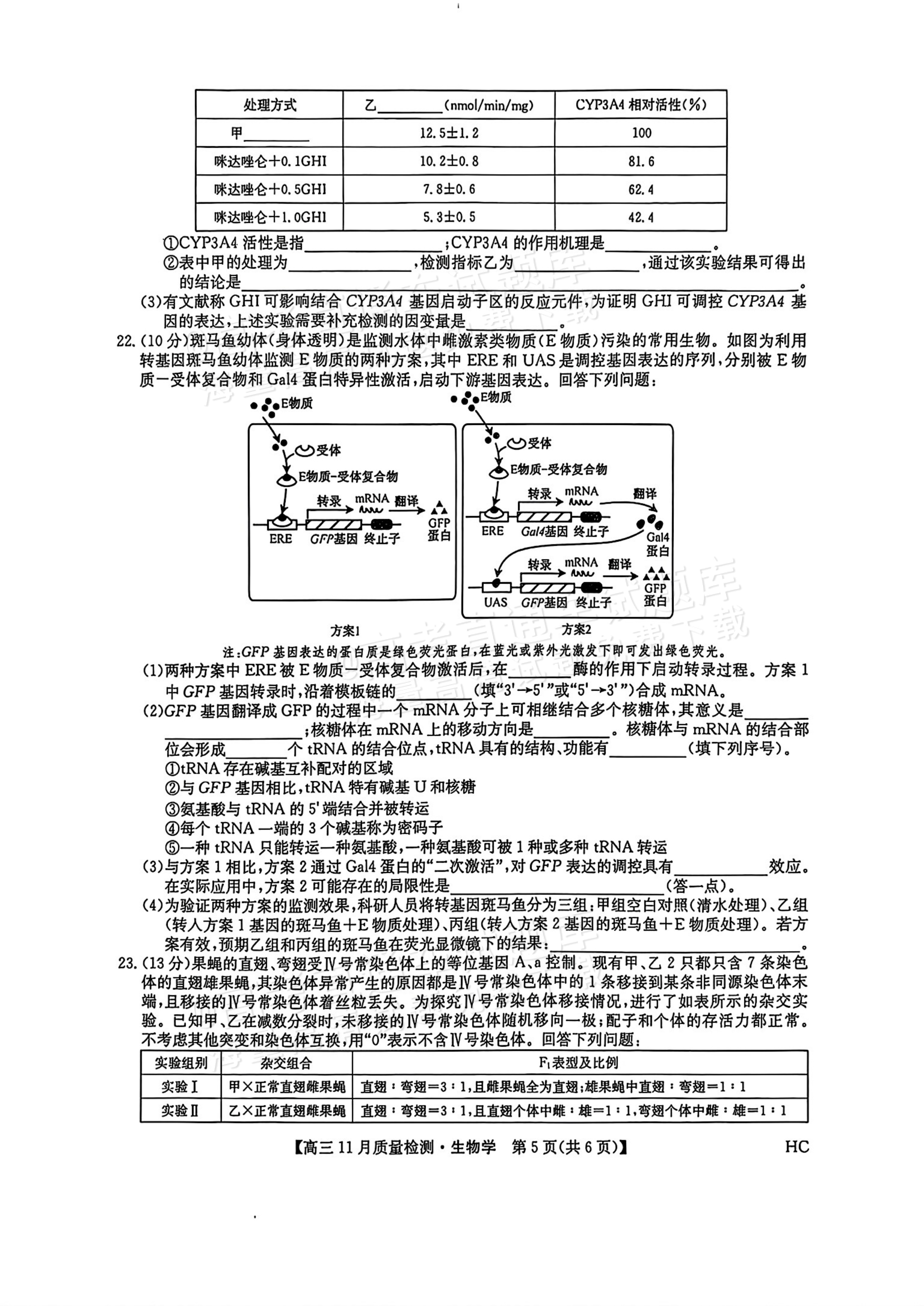 2026九师联盟高三11月联考生物试题及参考答案 第5页