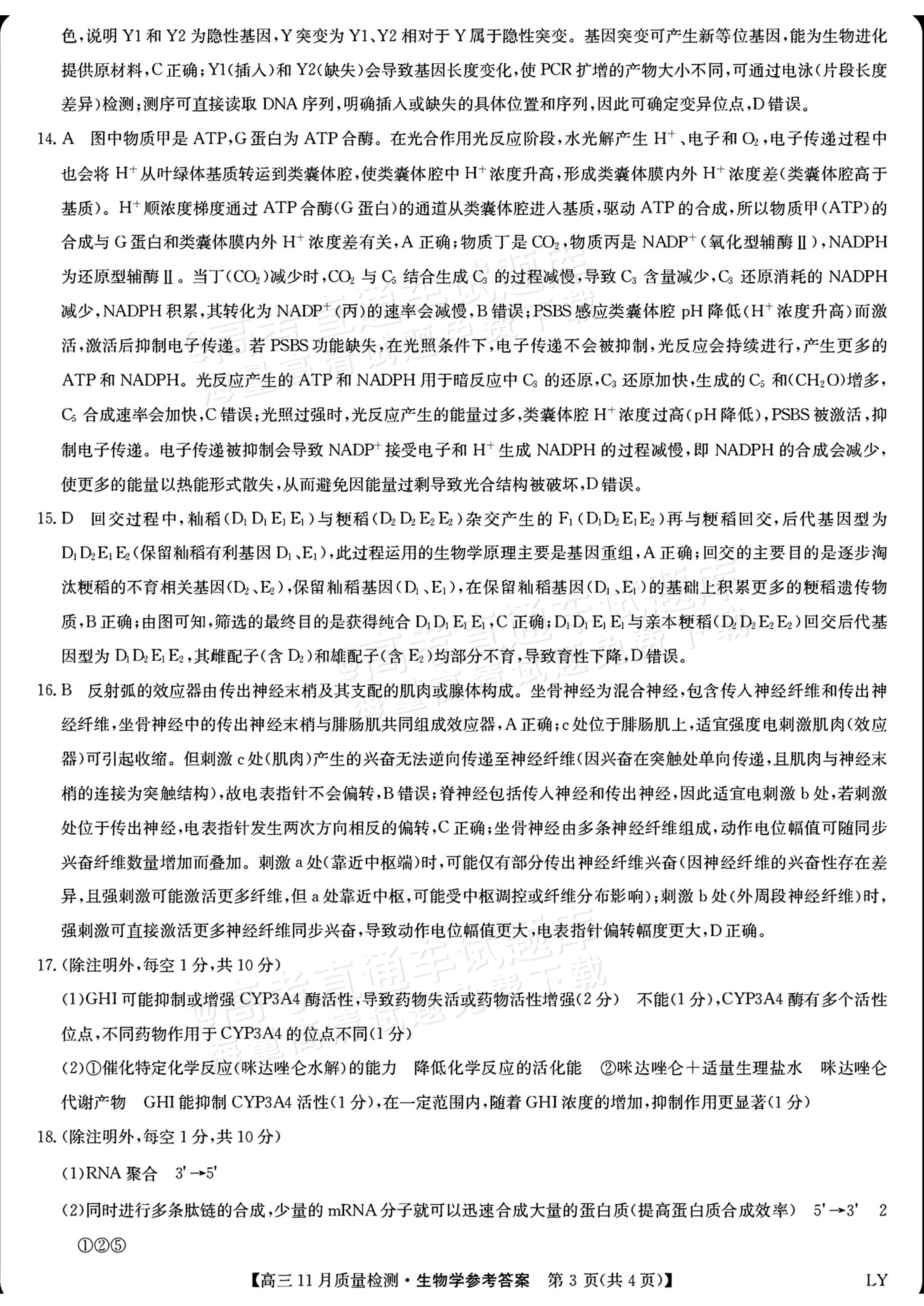 2026九师联盟高三11月联考生物试题及参考答案 答案 第3页