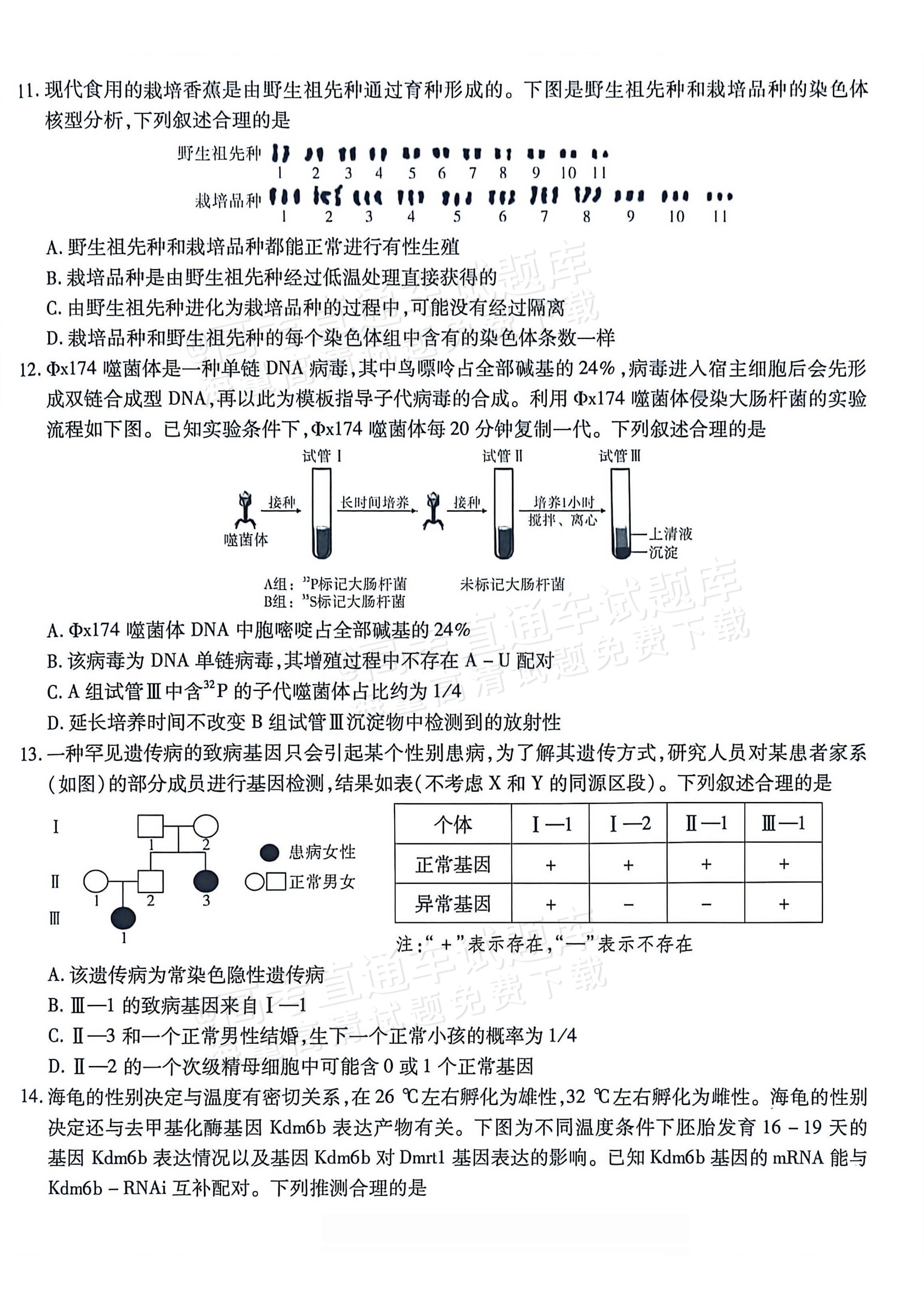 2026重庆南开中学高三1月第五次质量检测生物试题及参考答案 第4页