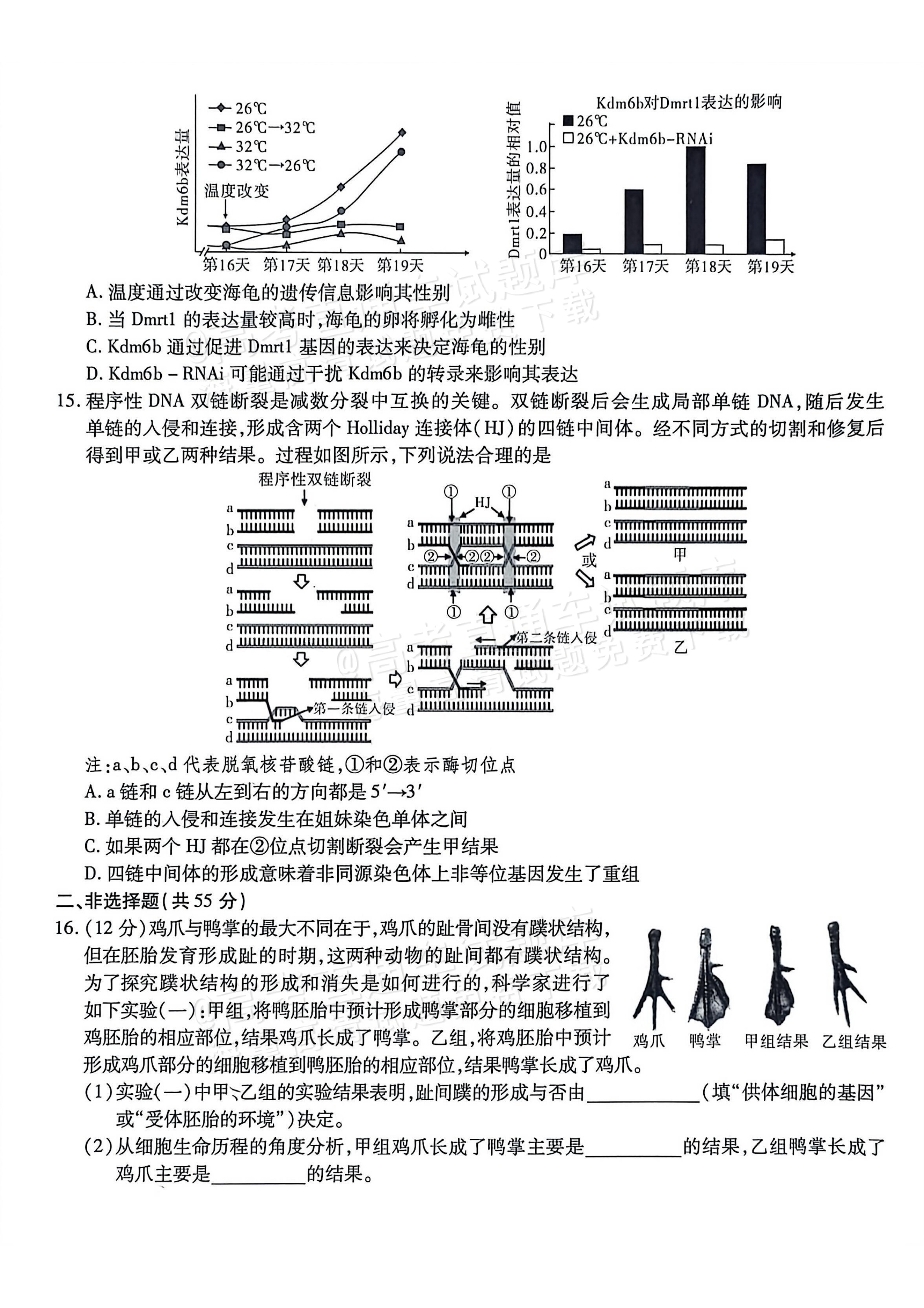 2026重庆南开中学高三1月第五次质量检测生物试题及参考答案 第5页