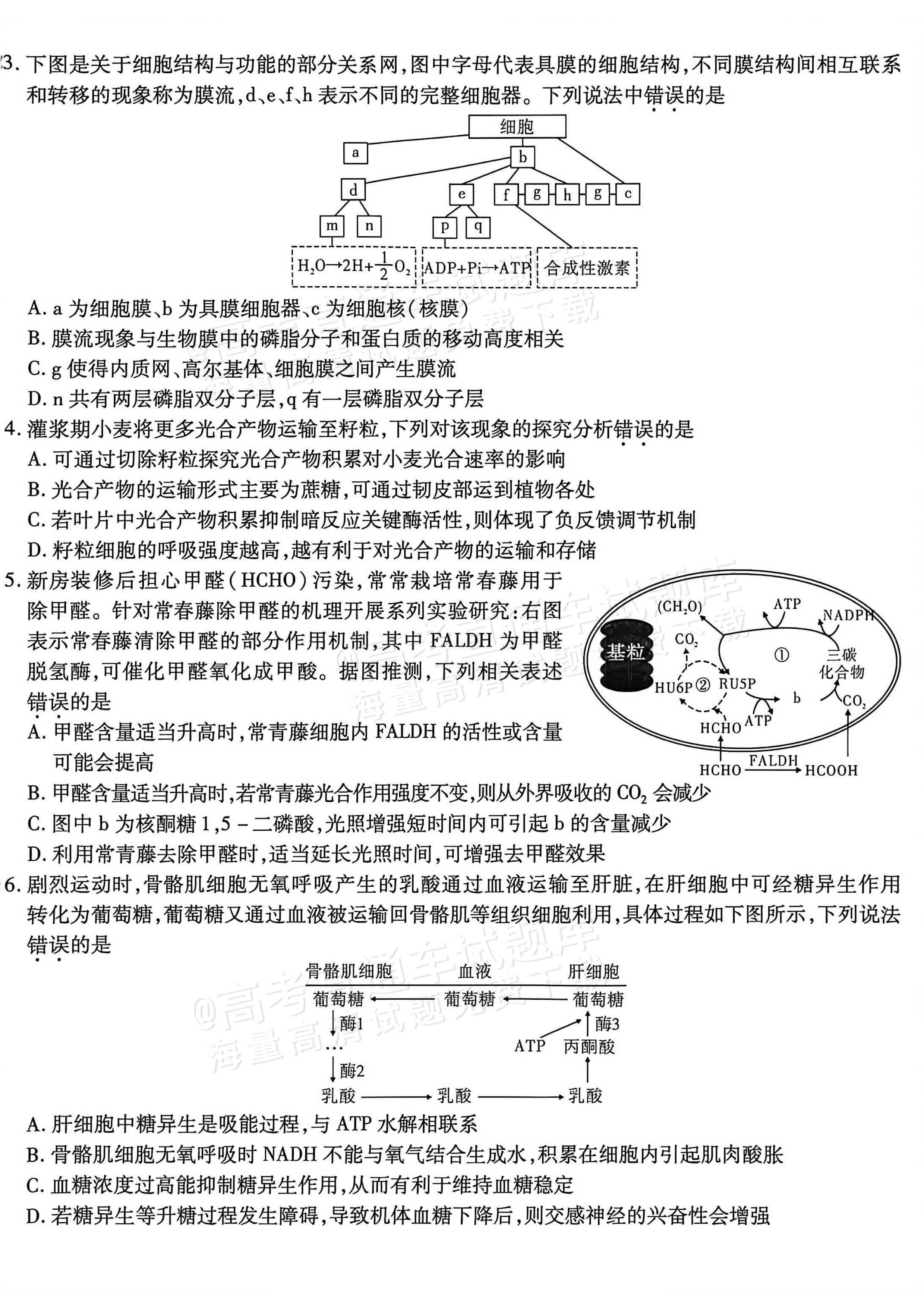 2026重庆南开中学高三1月第五次质量检测生物试题及参考答案 第2页