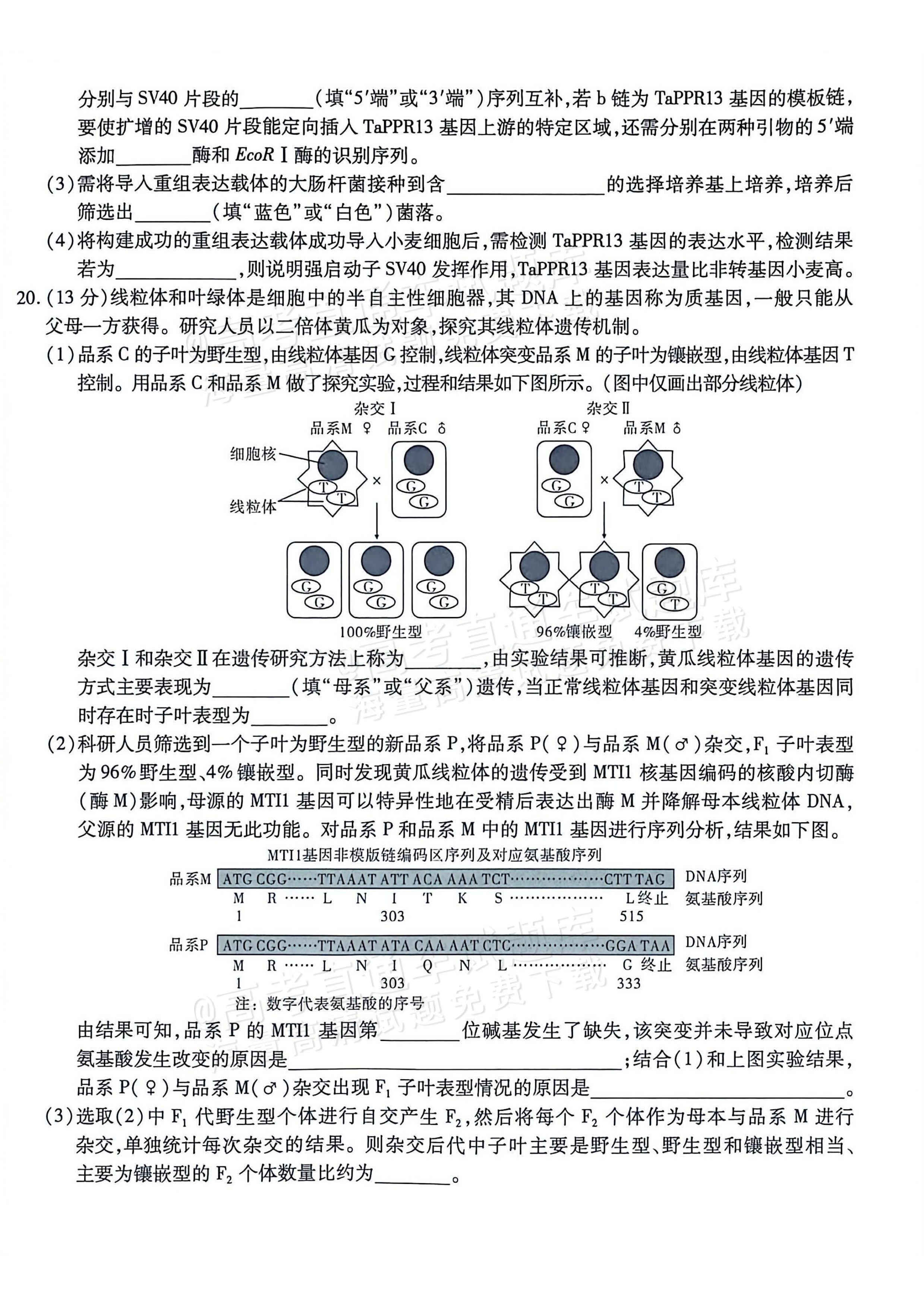2026重庆南开中学高三1月第五次质量检测生物试题及参考答案 第8页