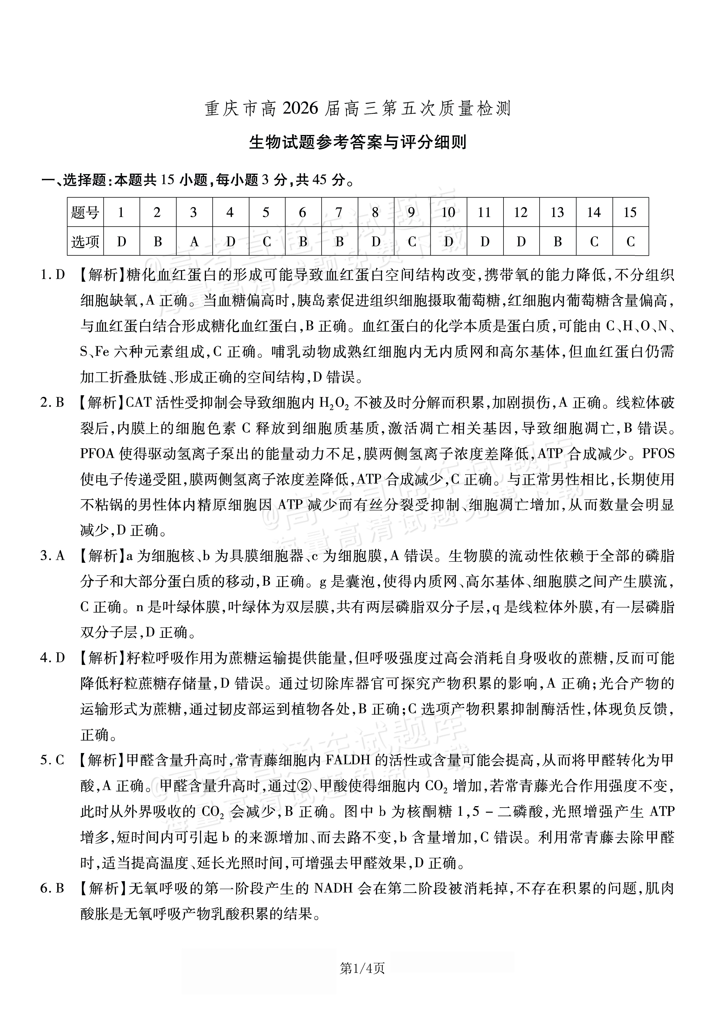 2026重庆南开中学高三1月第五次质量检测生物试题及参考答案 答案 第1页