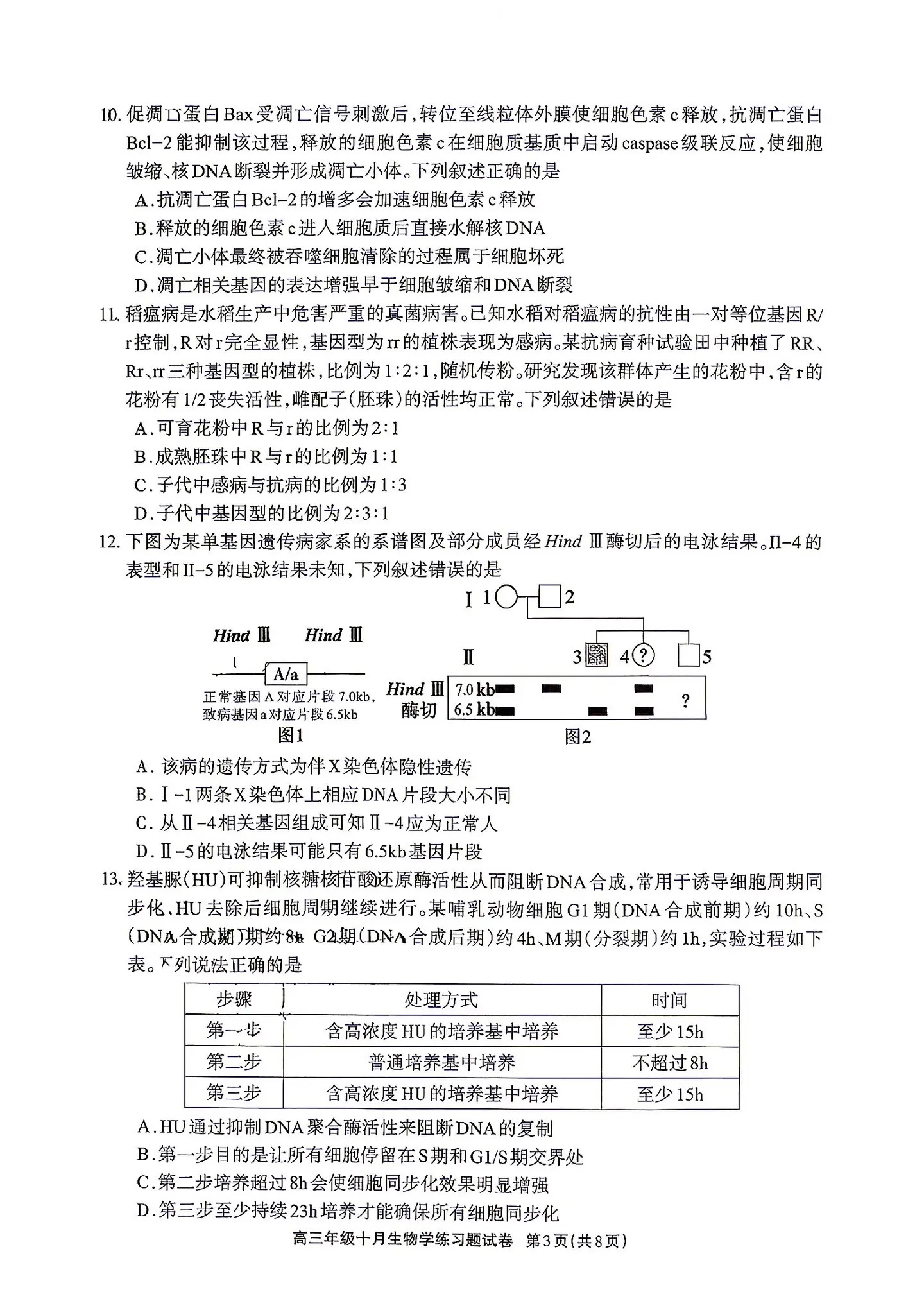 2027德阳高三10月联考生物试题 第3页