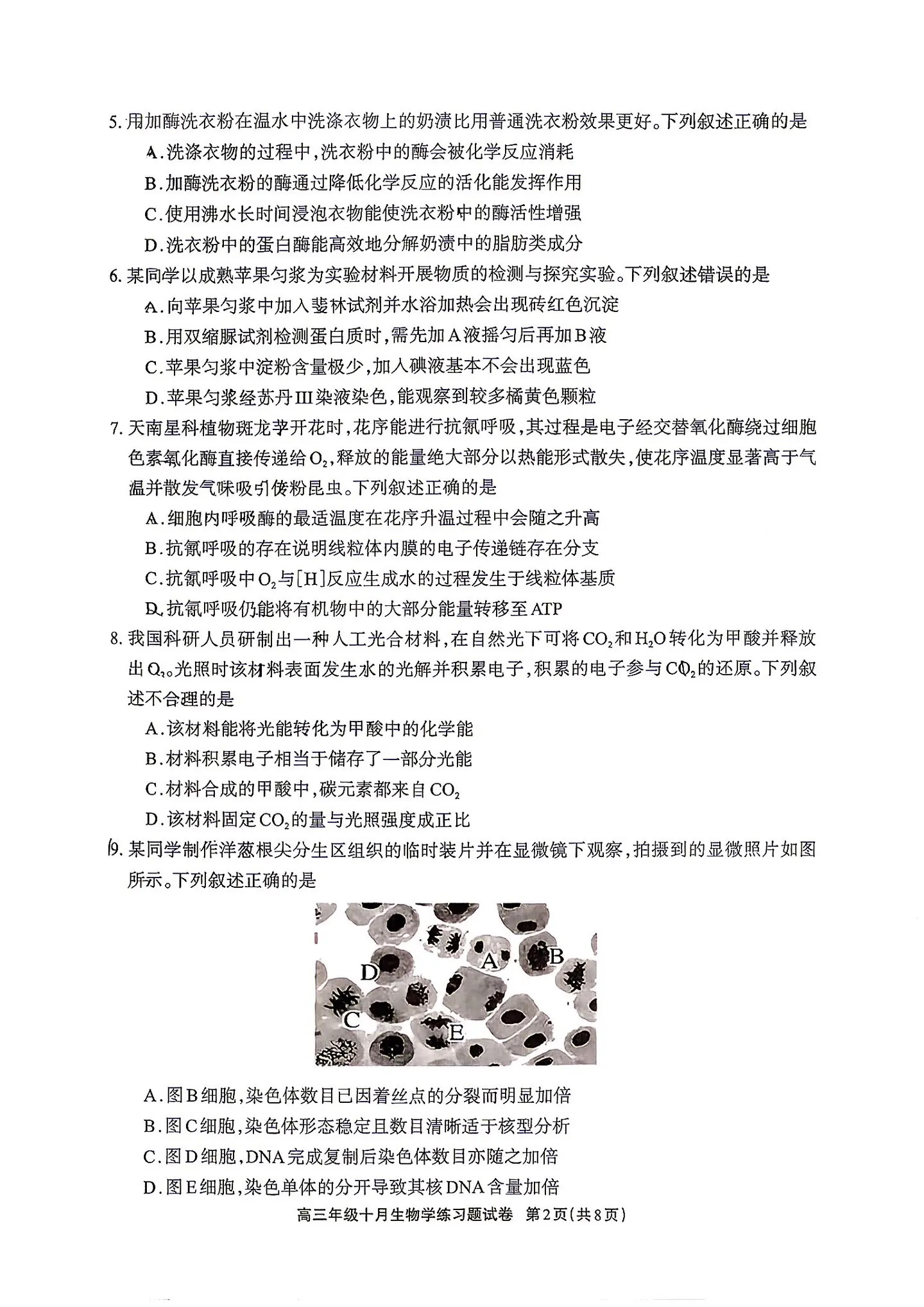 2027德阳高三10月联考生物试题 第2页