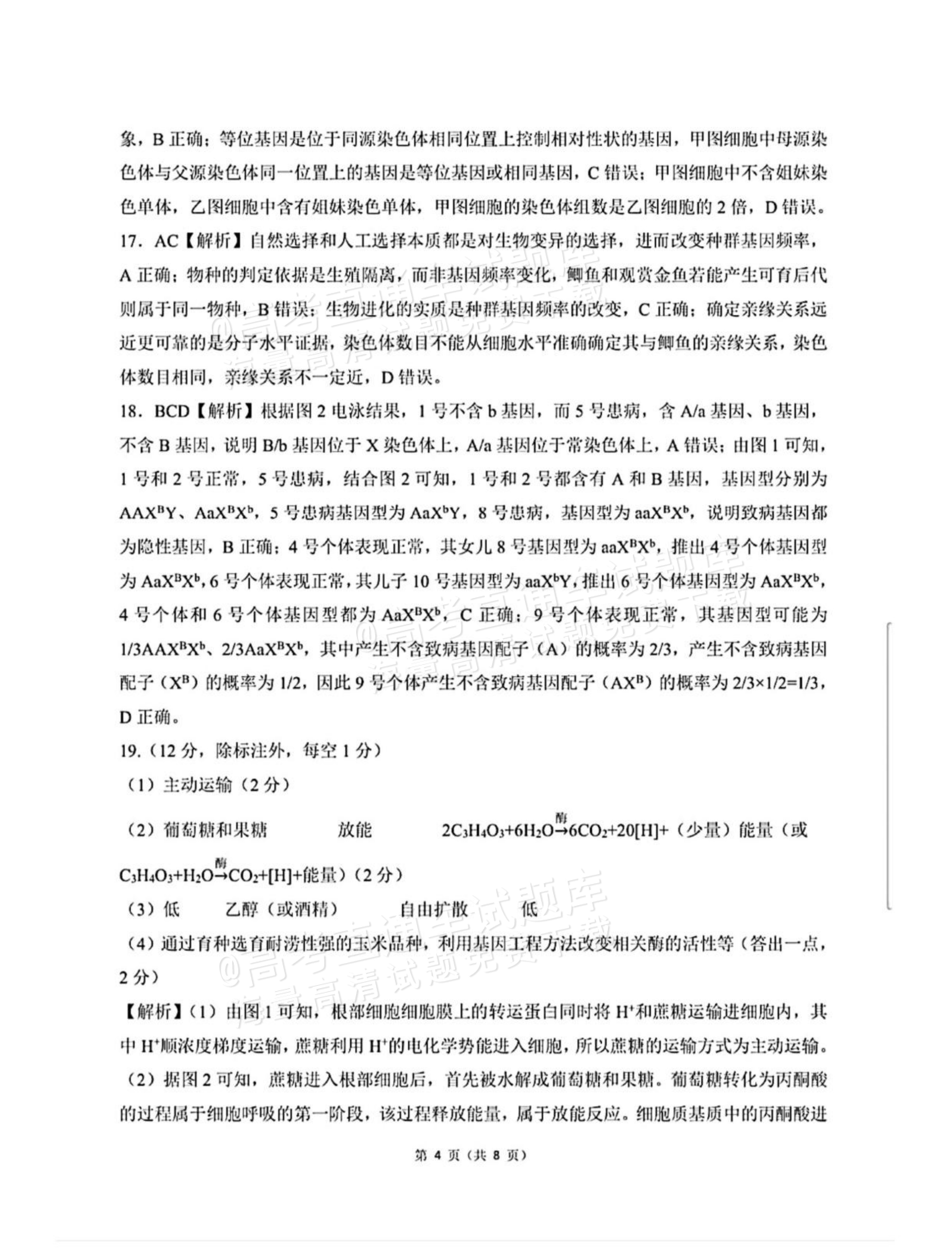 2027河北承德市部分校高三上10月阶段检测生物试题及参考答案 答案 第4页
