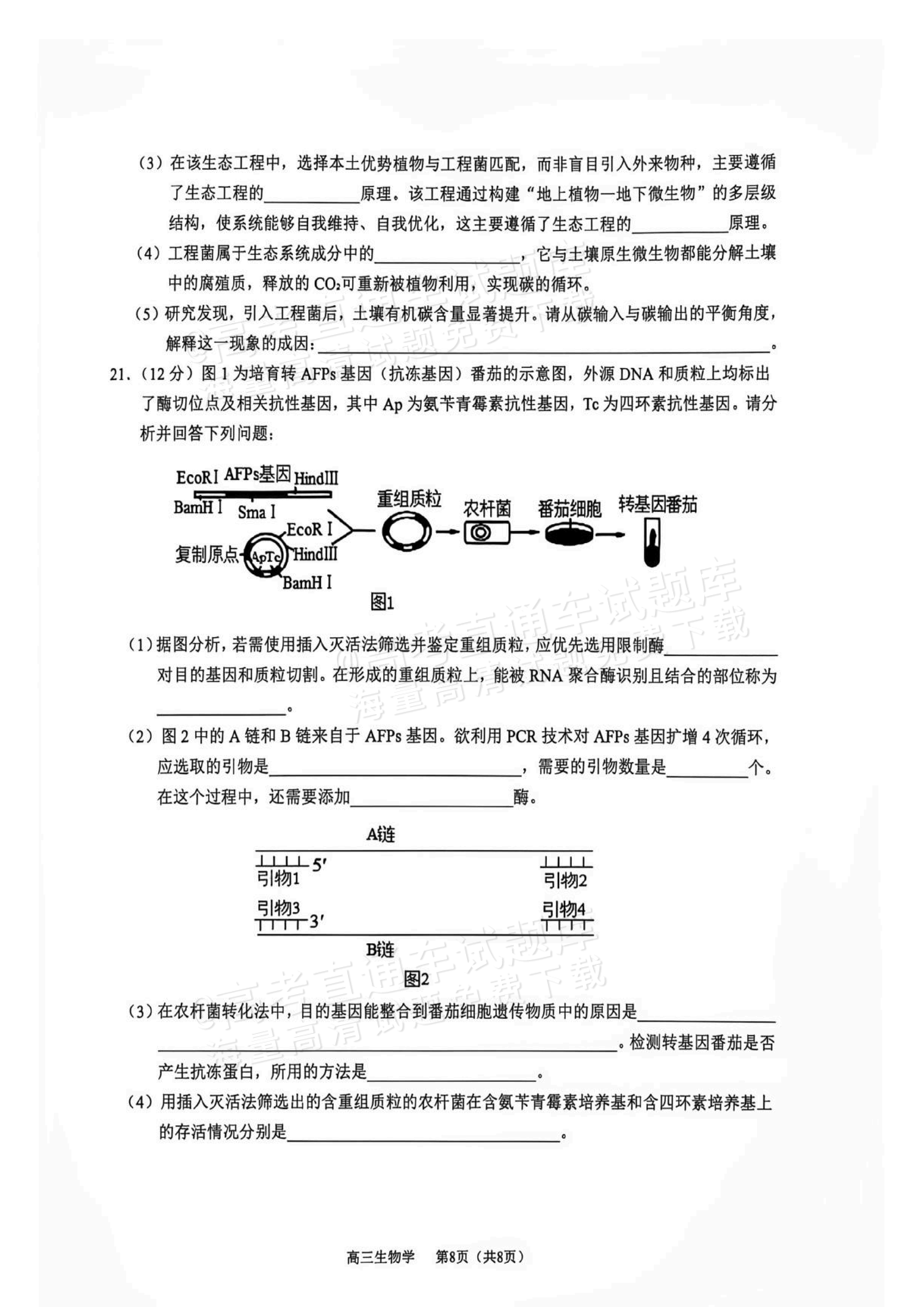 2027广西玉林市五校高三10月阶性检测 生物试题 第8页