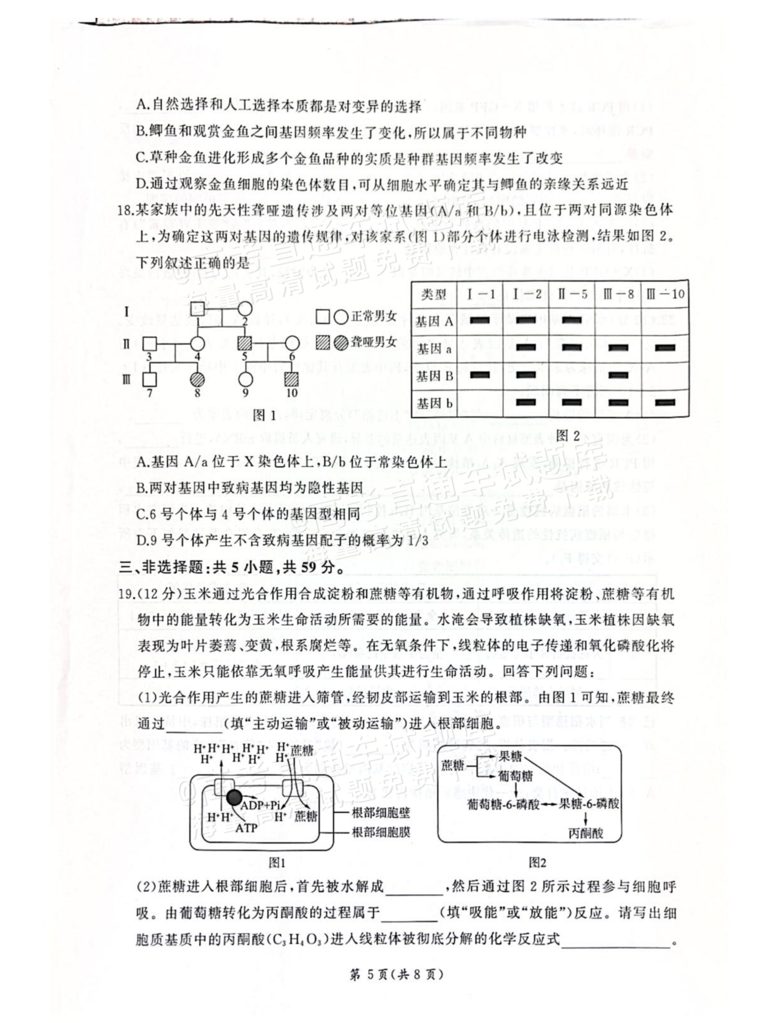 2027河北承德市部分校高三上10月阶段检测生物试题及参考答案 第5页