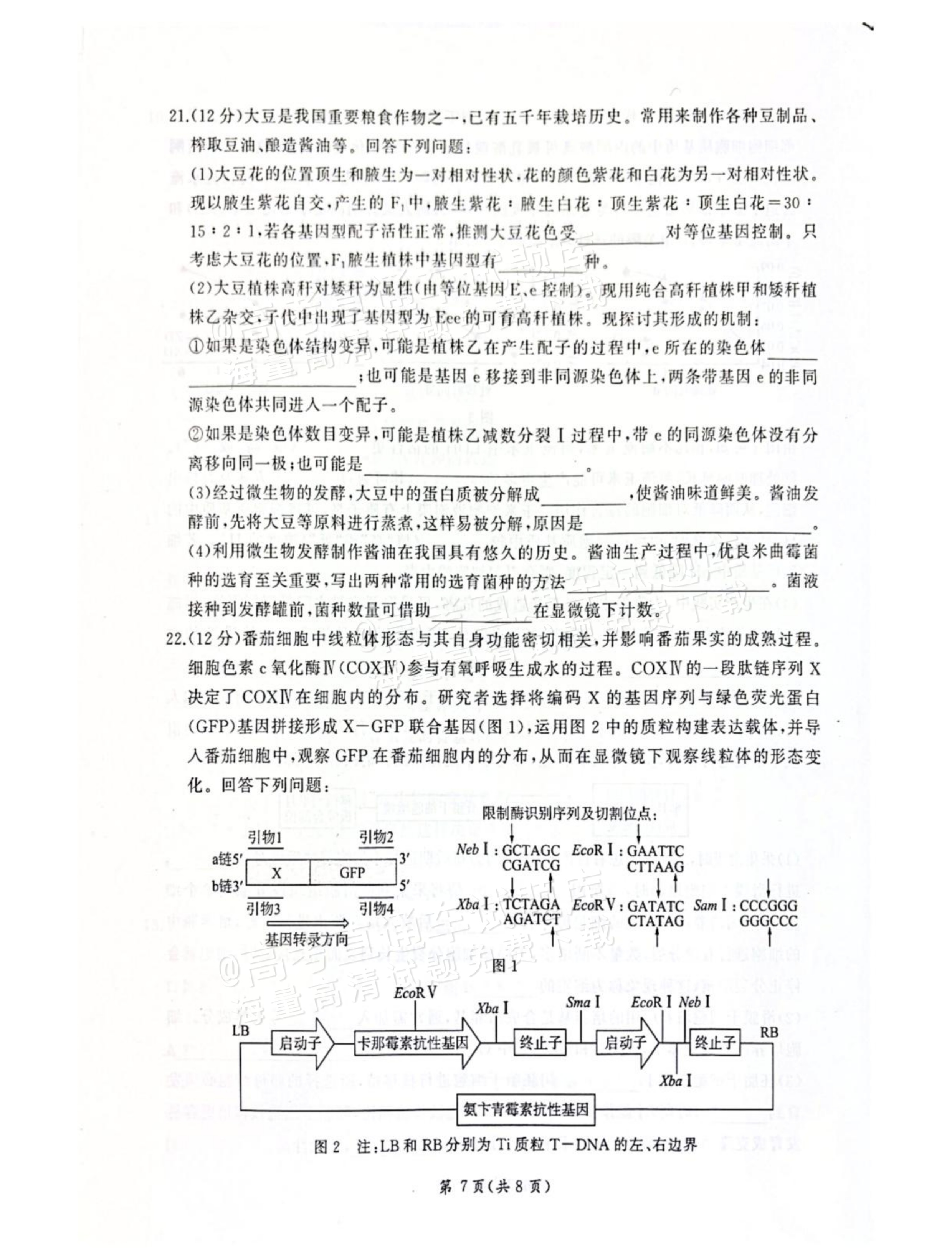 2027河北承德市部分校高三上10月阶段检测生物试题及参考答案 第7页
