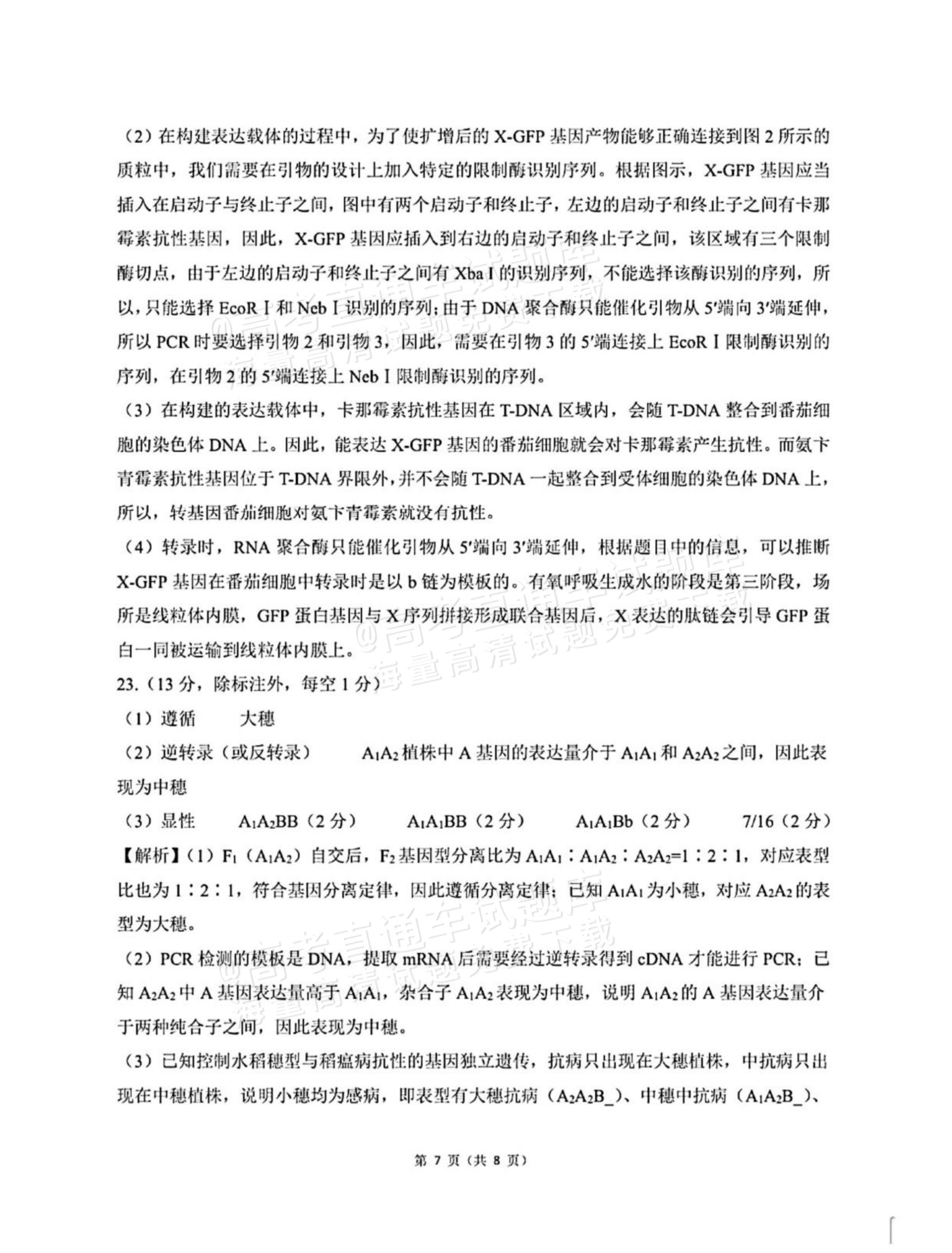 2027河北承德市部分校高三上10月阶段检测生物试题及参考答案 答案 第7页