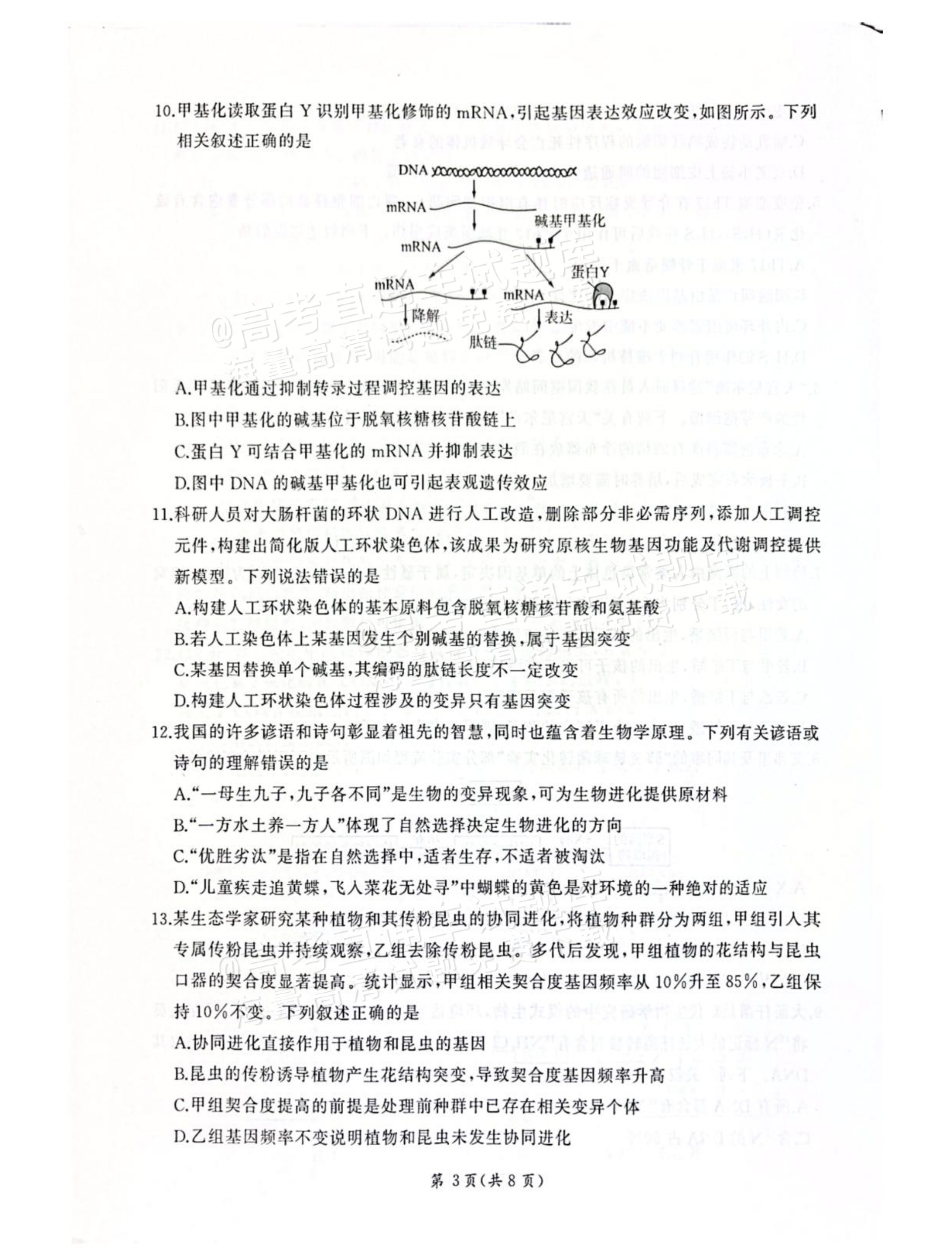 2027河北承德市部分校高三上10月阶段检测生物试题及参考答案 第3页