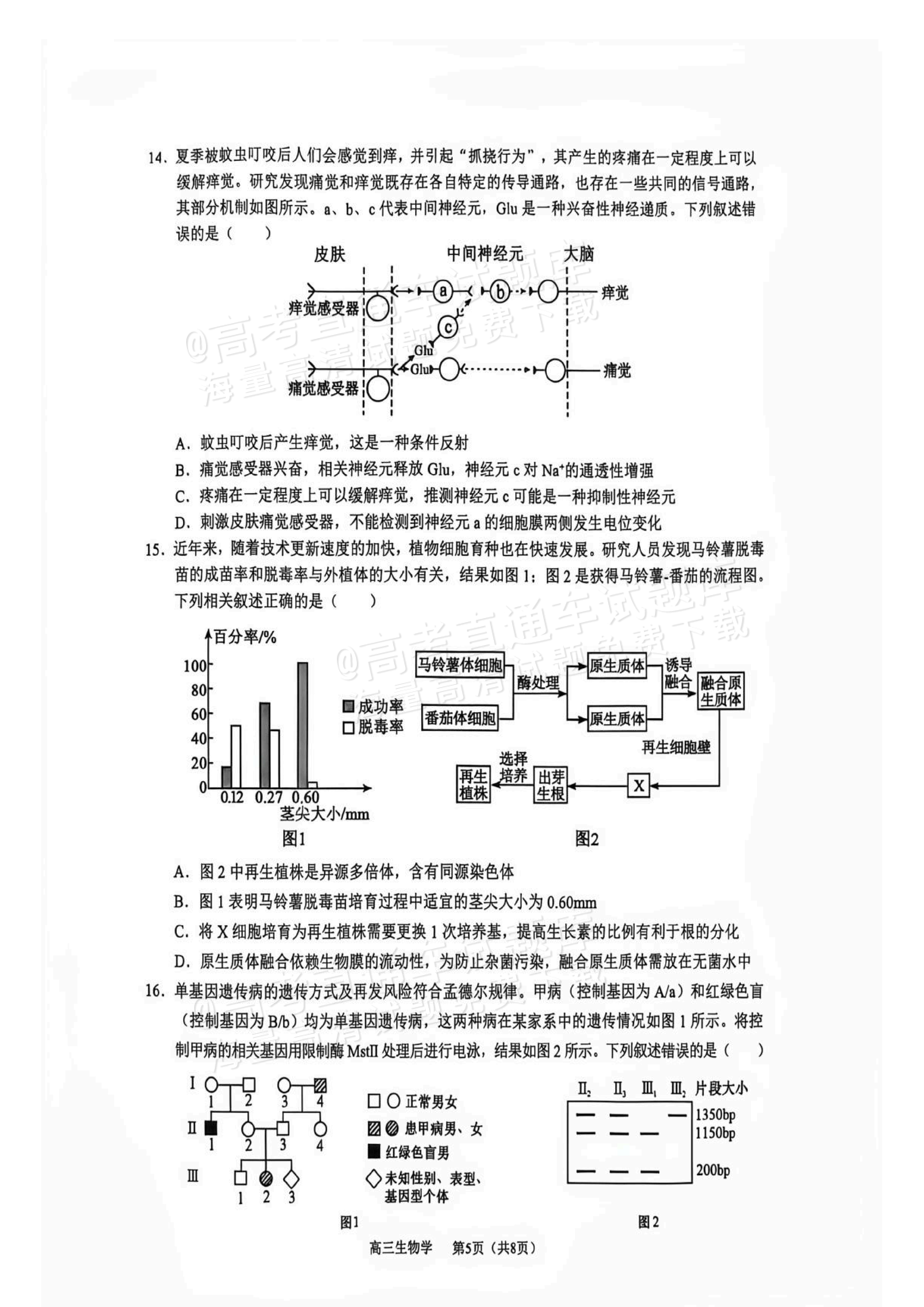 2027广西玉林市五校高三10月阶性检测 生物试题 第5页