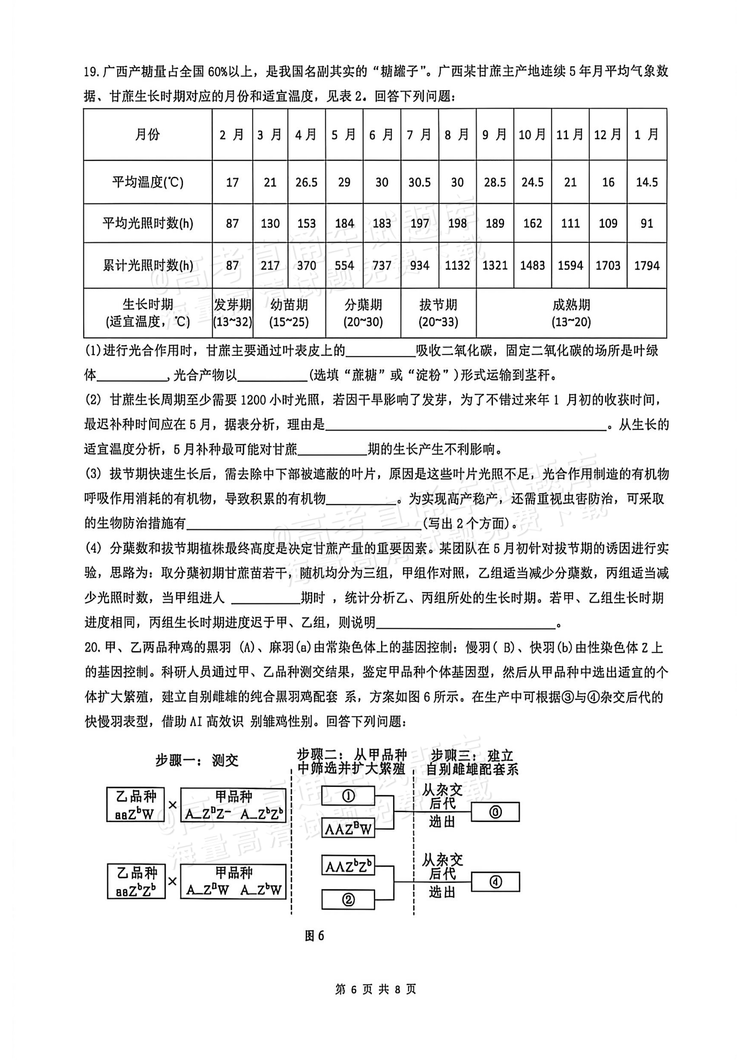 2026广西高考（新高考Ⅱ卷）生物试题及参考答案 第6页