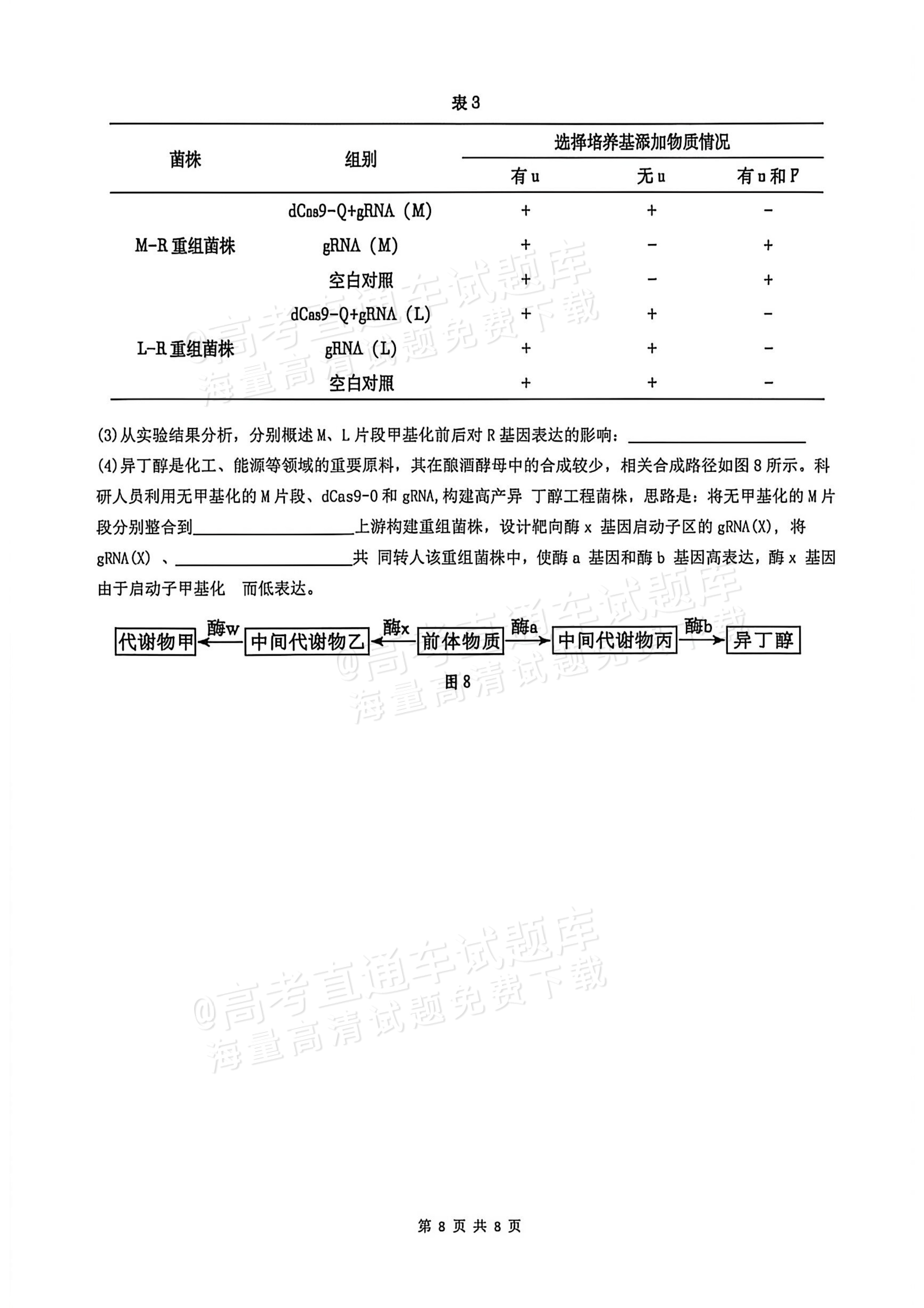 2026广西高考（新高考Ⅱ卷）生物试题及参考答案 第8页