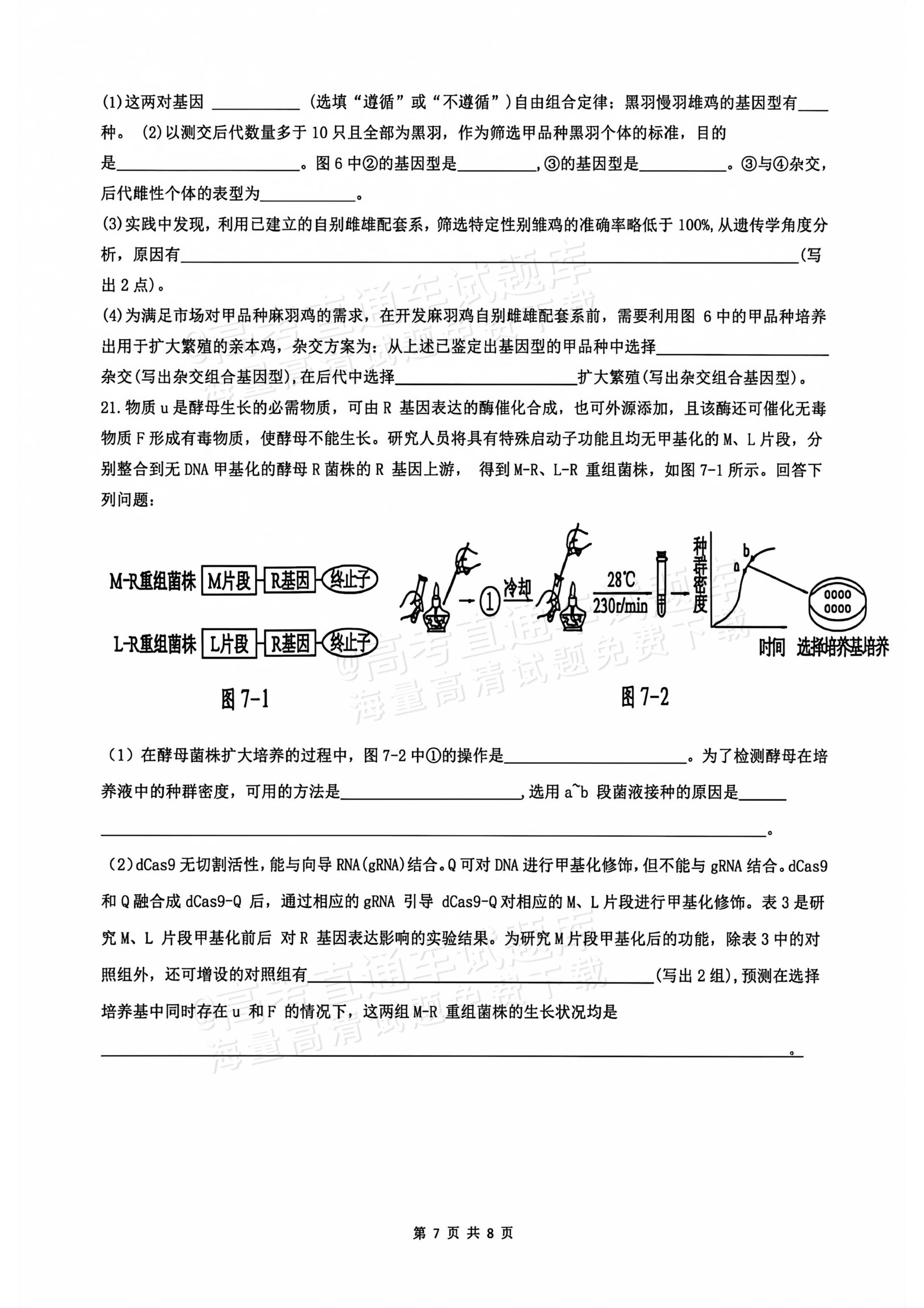 2026广西高考（新高考Ⅱ卷）生物试题及参考答案 第7页