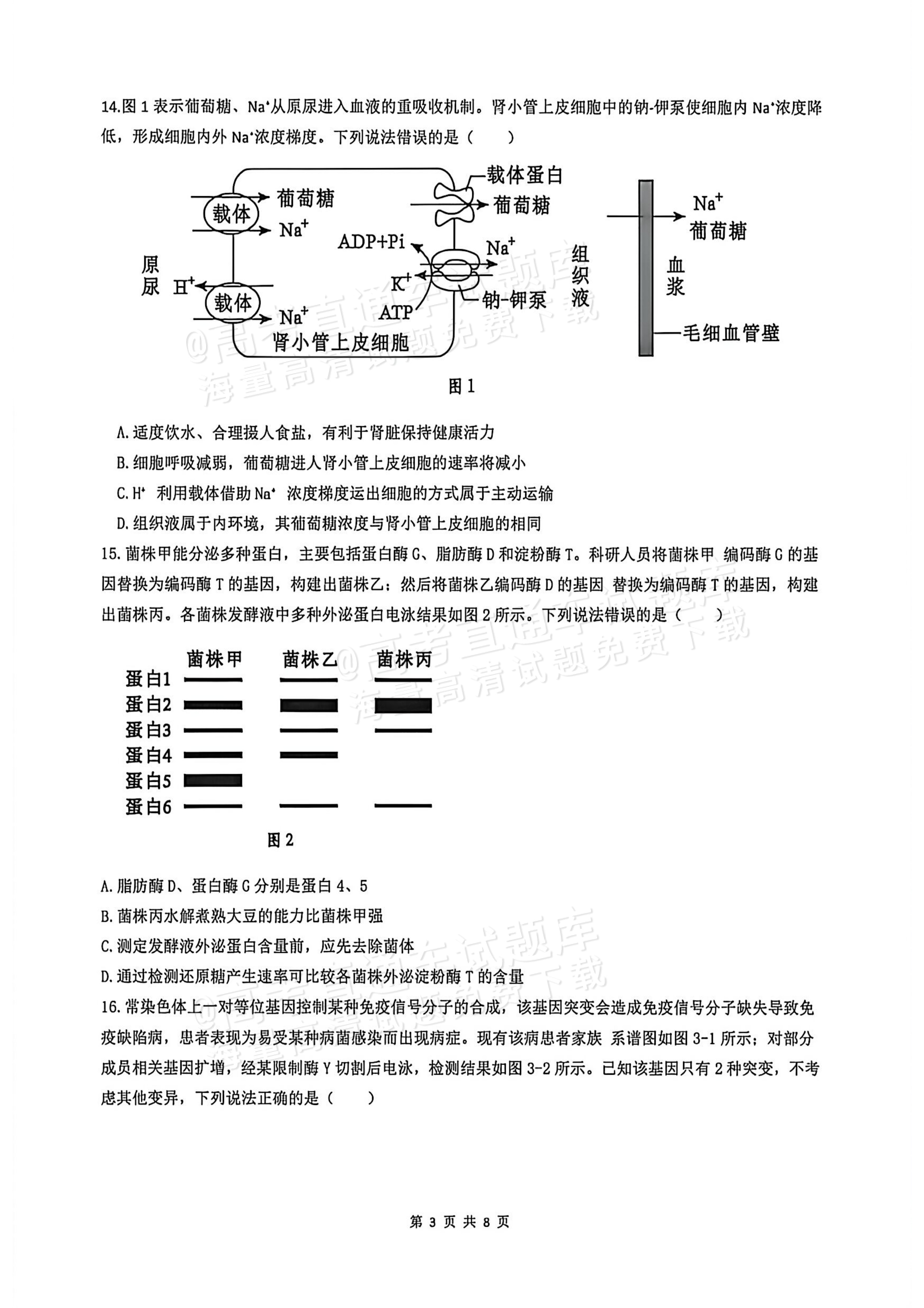 2026广西高考（新高考Ⅱ卷）生物试题及参考答案 第3页