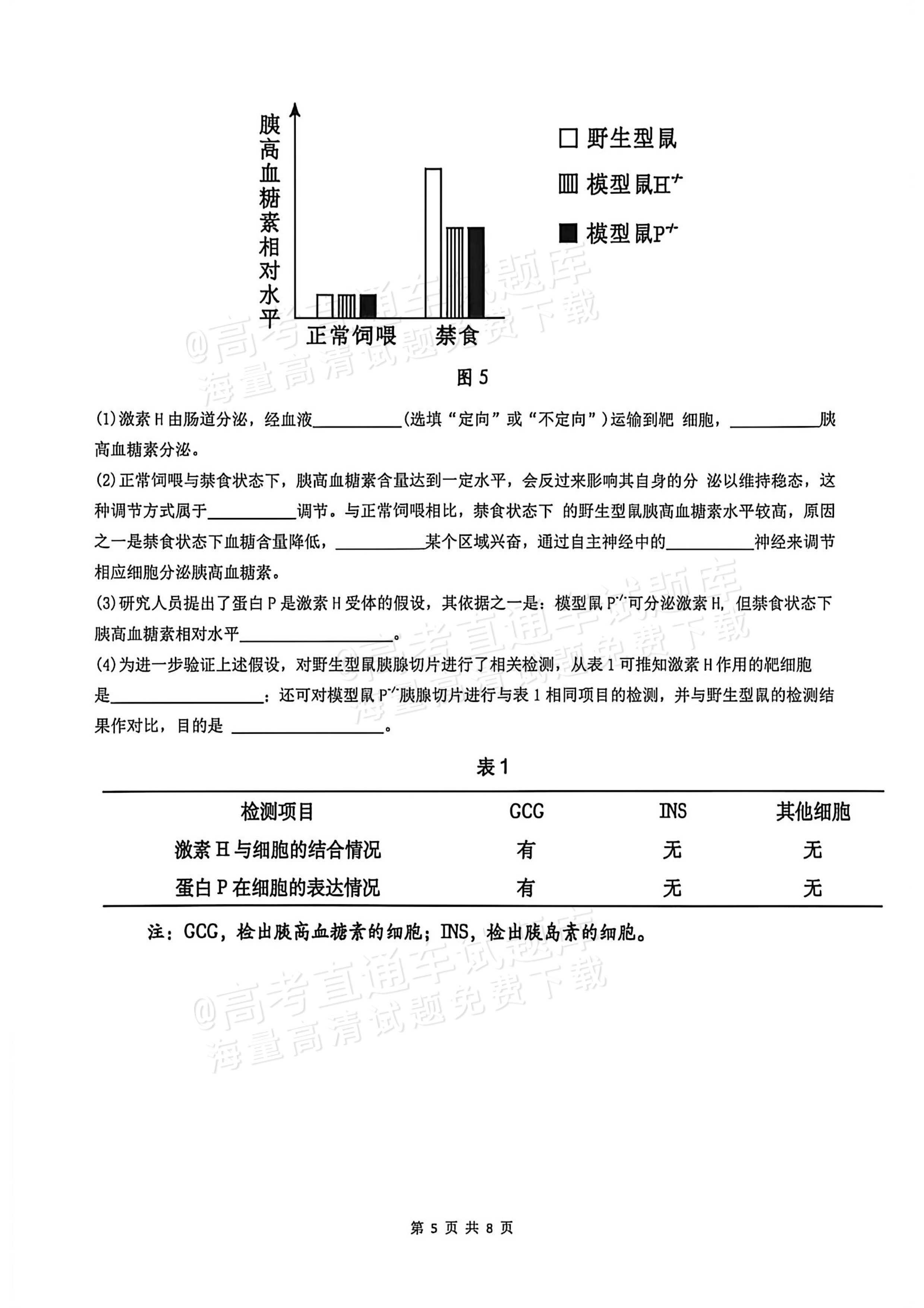 2026广西高考（新高考Ⅱ卷）生物试题及参考答案 第5页
