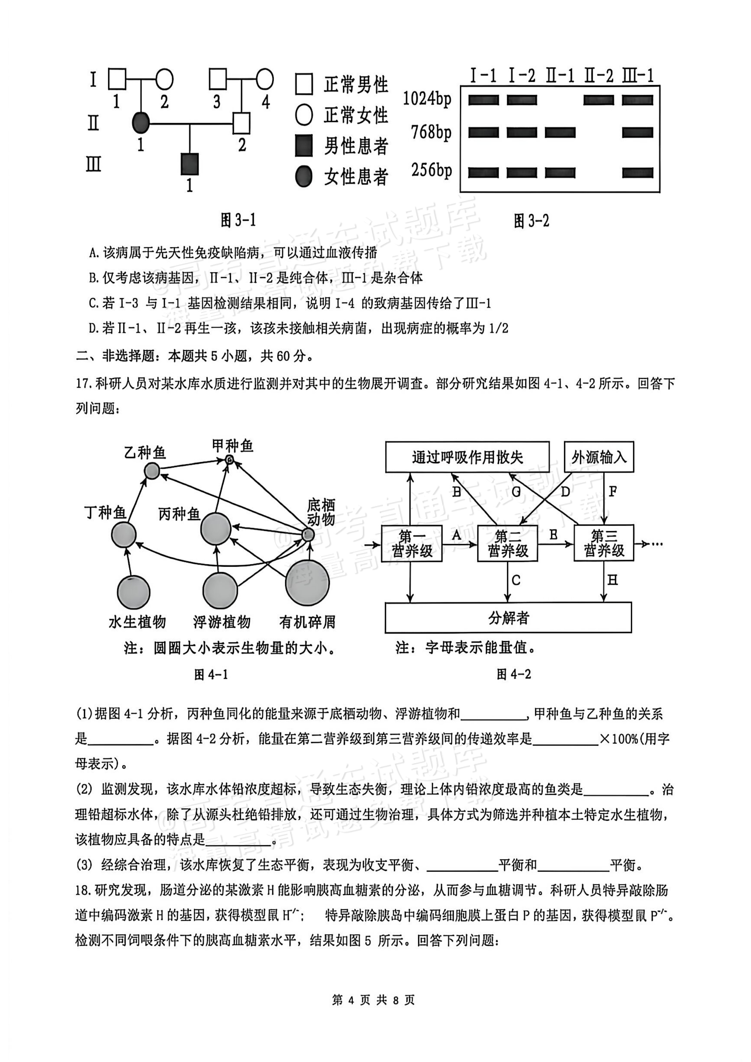 2026广西高考（新高考Ⅱ卷）生物试题及参考答案 第4页