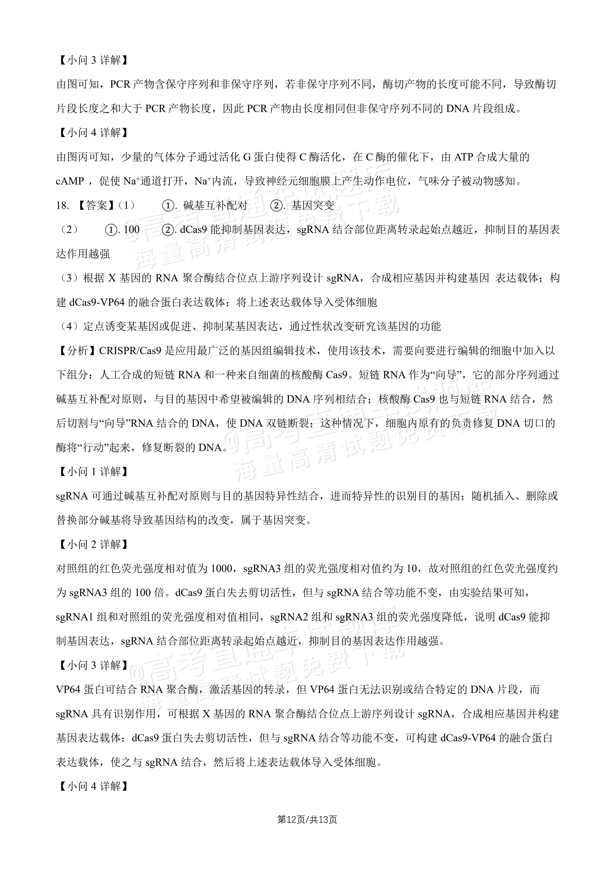 2027北师大附中高三上开学考生物试题及参考答案 答案 第3页