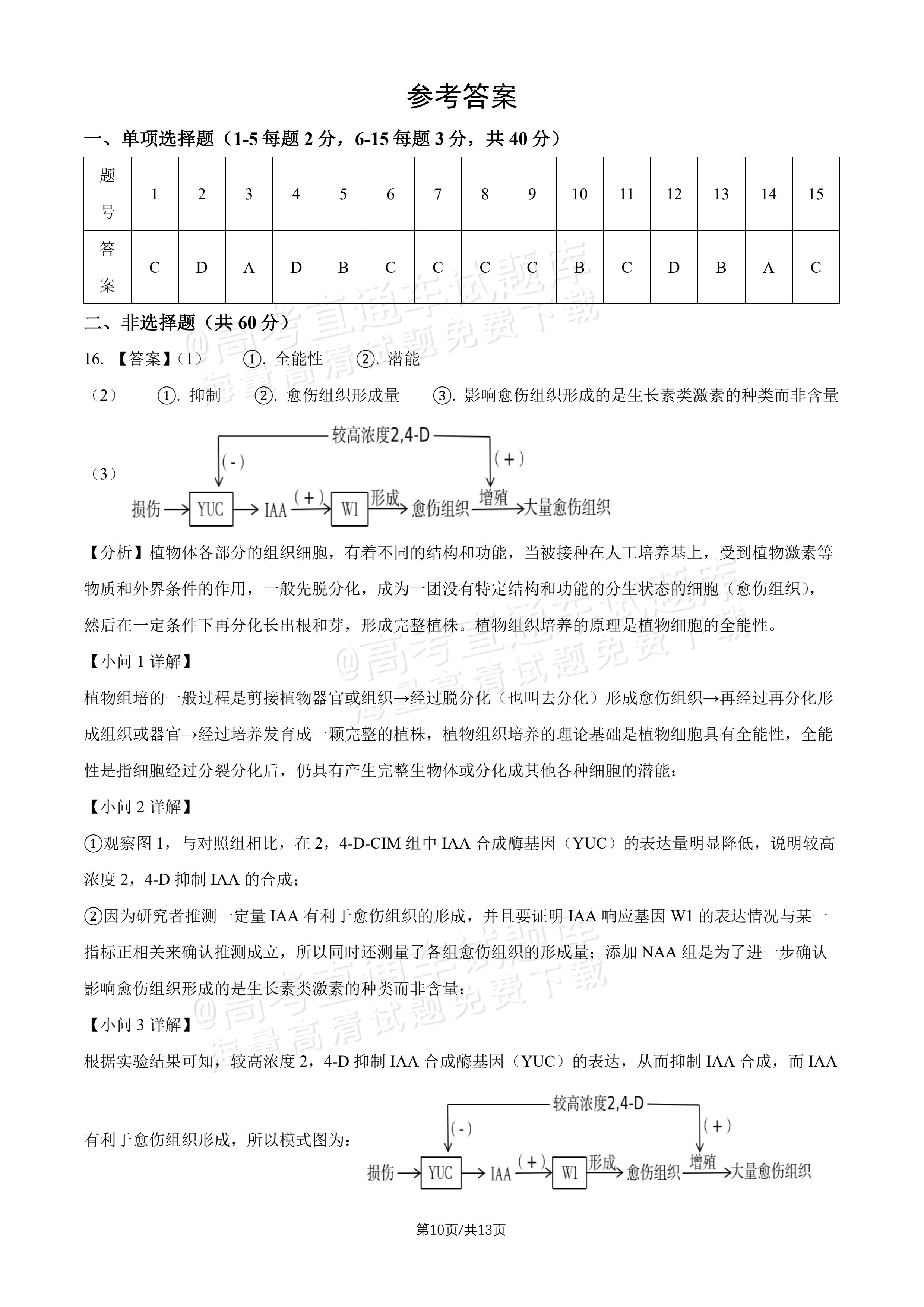 2027北师大附中高三上开学考生物试题及参考答案 答案 第1页