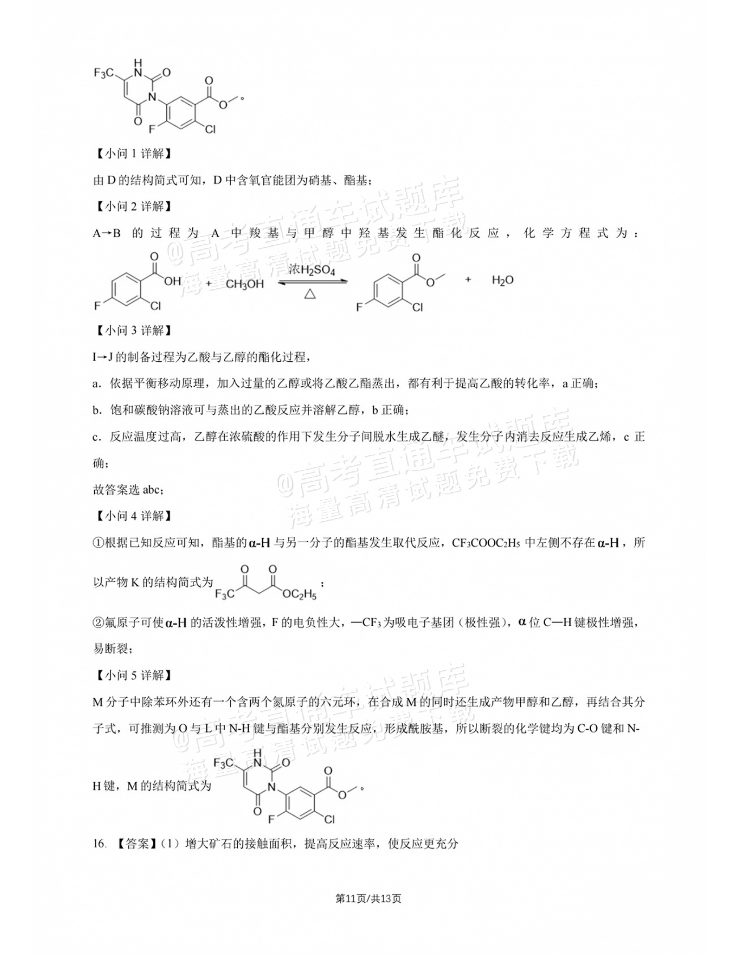 2027北师大附中高三上开学考化学试题及参考答案 答案 第3页