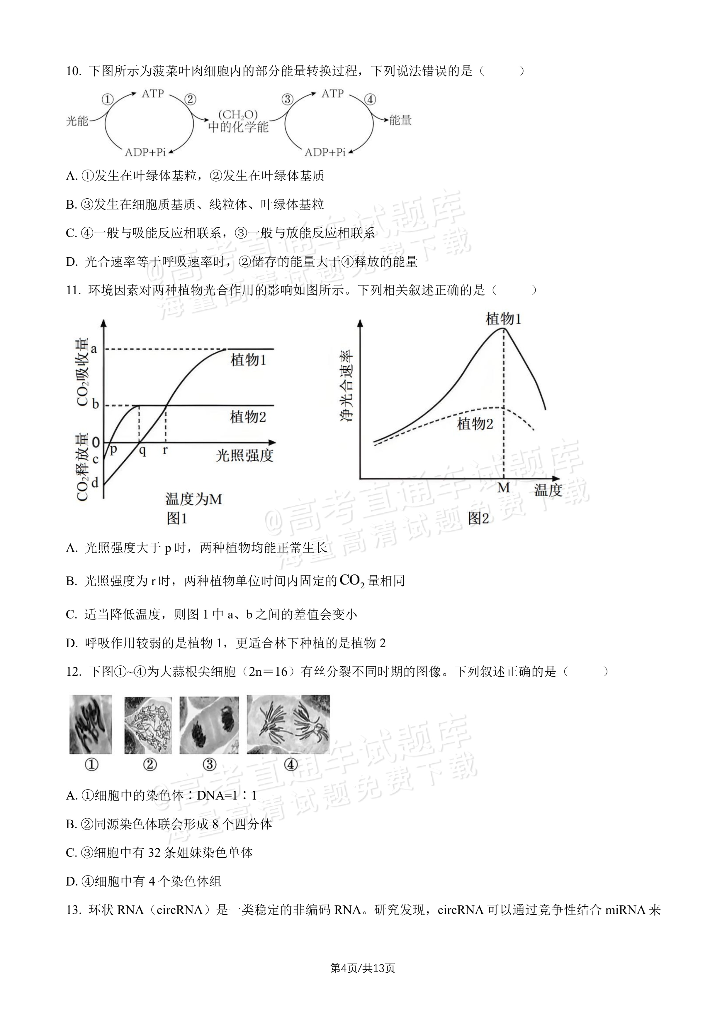 2027北师大附中高三上开学考生物试题及参考答案 第4页