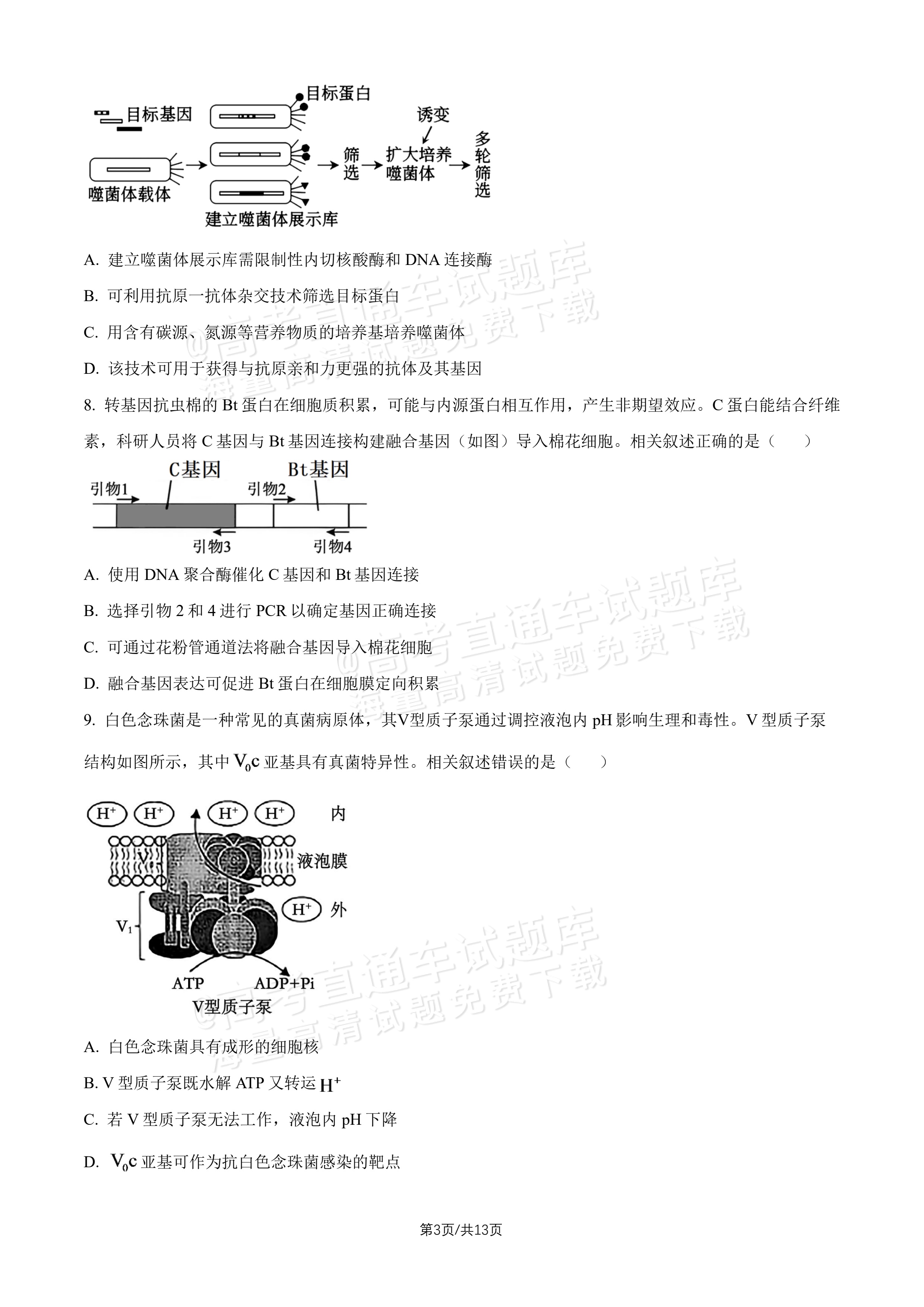 2027北师大附中高三上开学考生物试题及参考答案 第3页