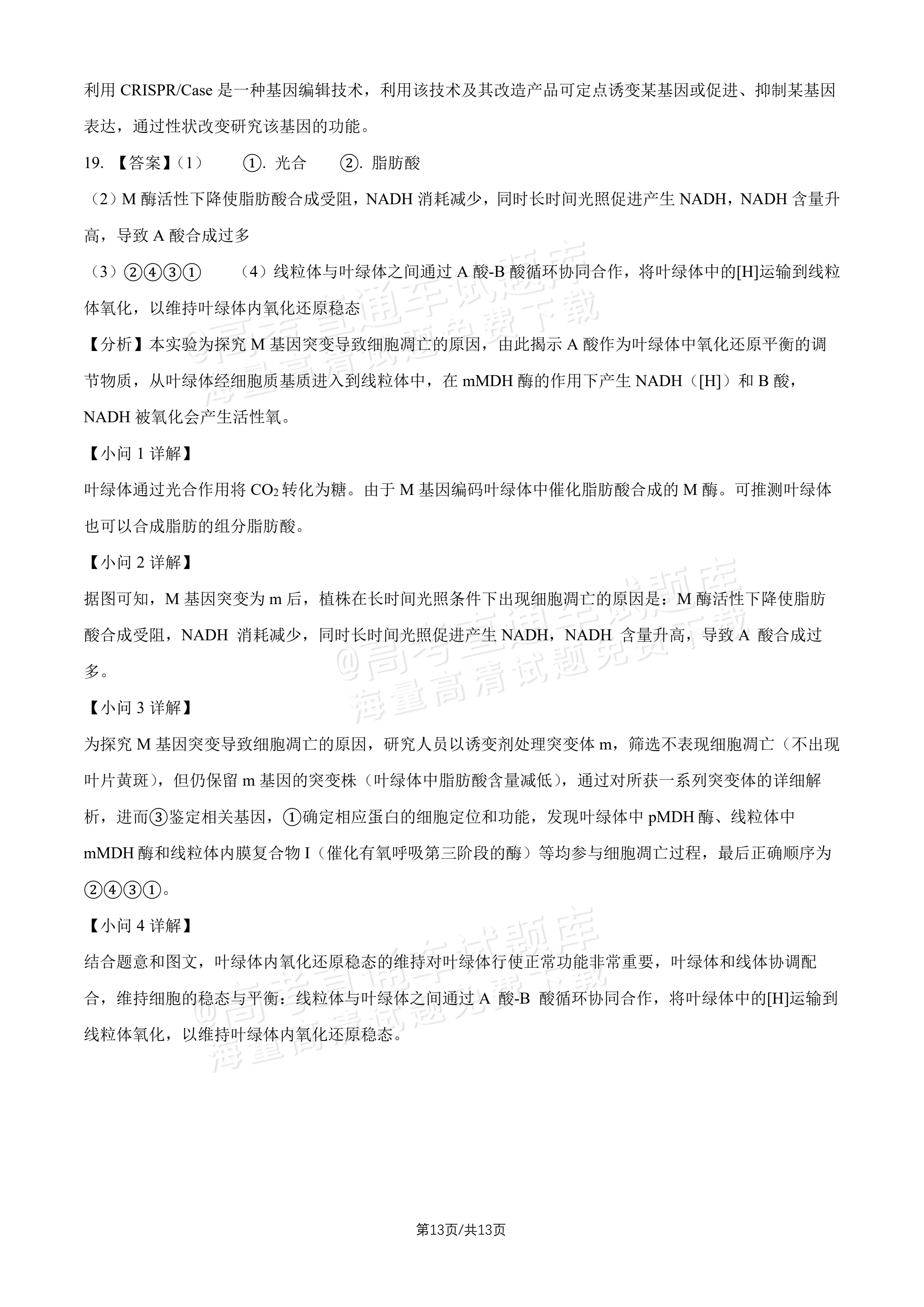 2027北师大附中高三上开学考生物试题及参考答案 答案 第4页