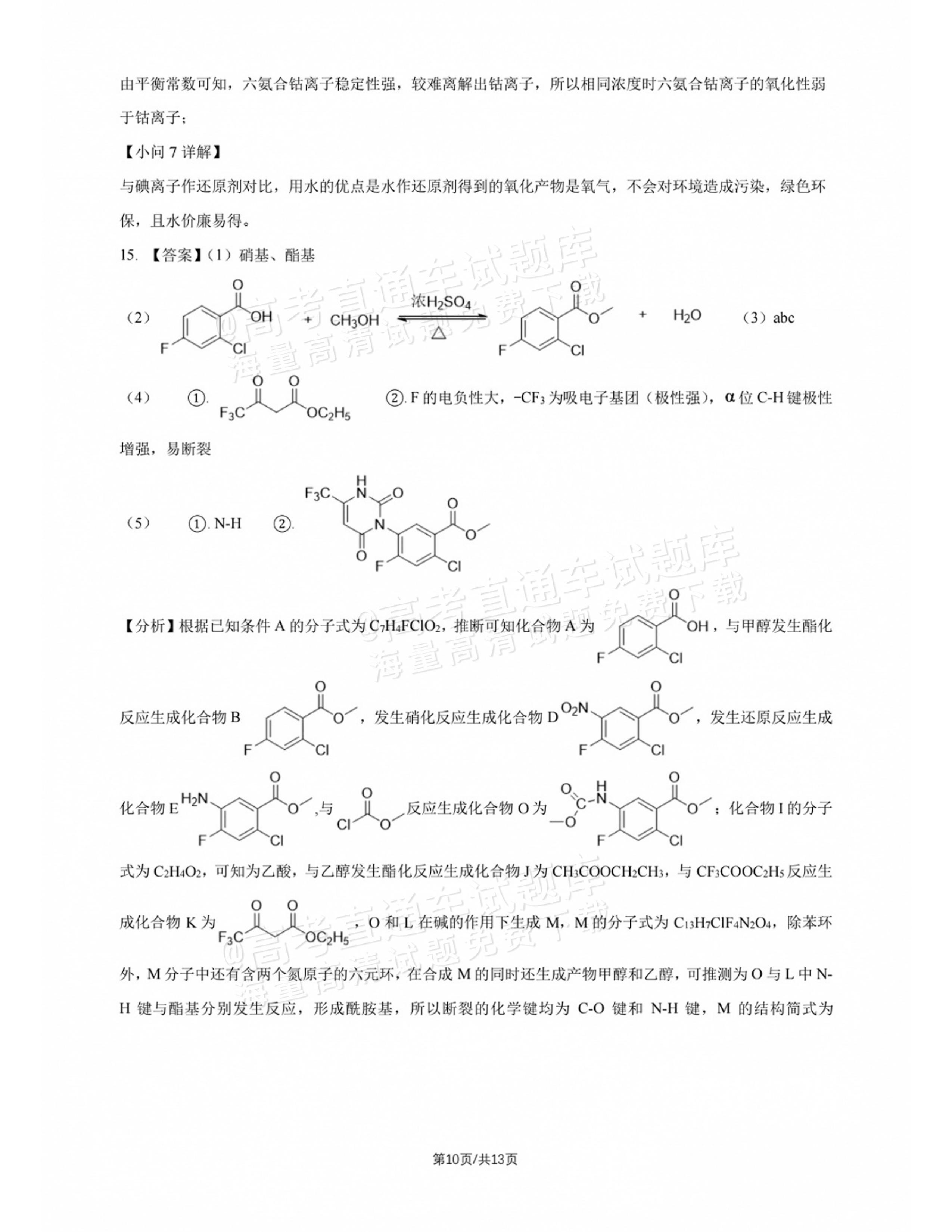 2027北师大附中高三上开学考化学试题及参考答案 答案 第2页