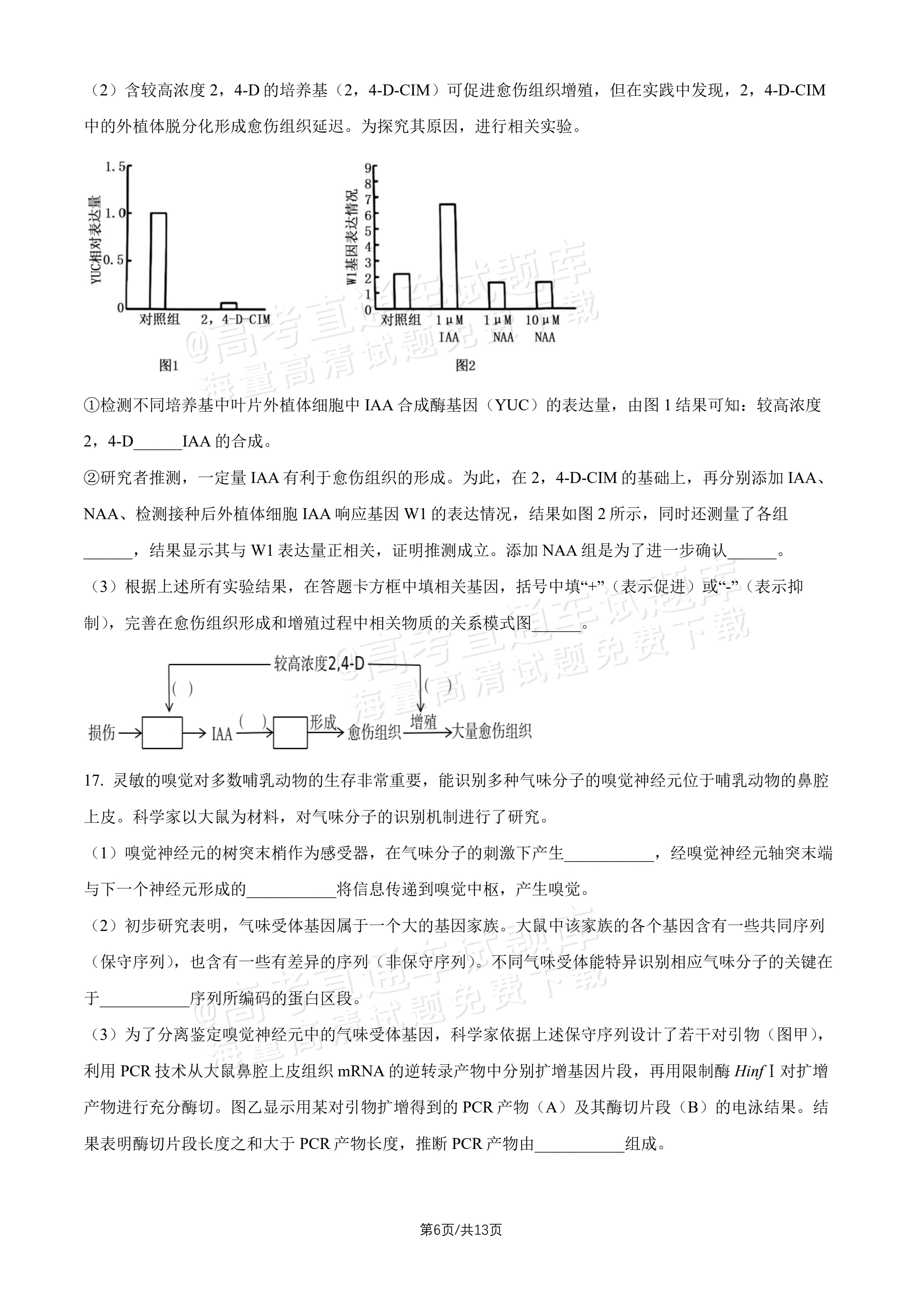 2027北师大附中高三上开学考生物试题及参考答案 第6页