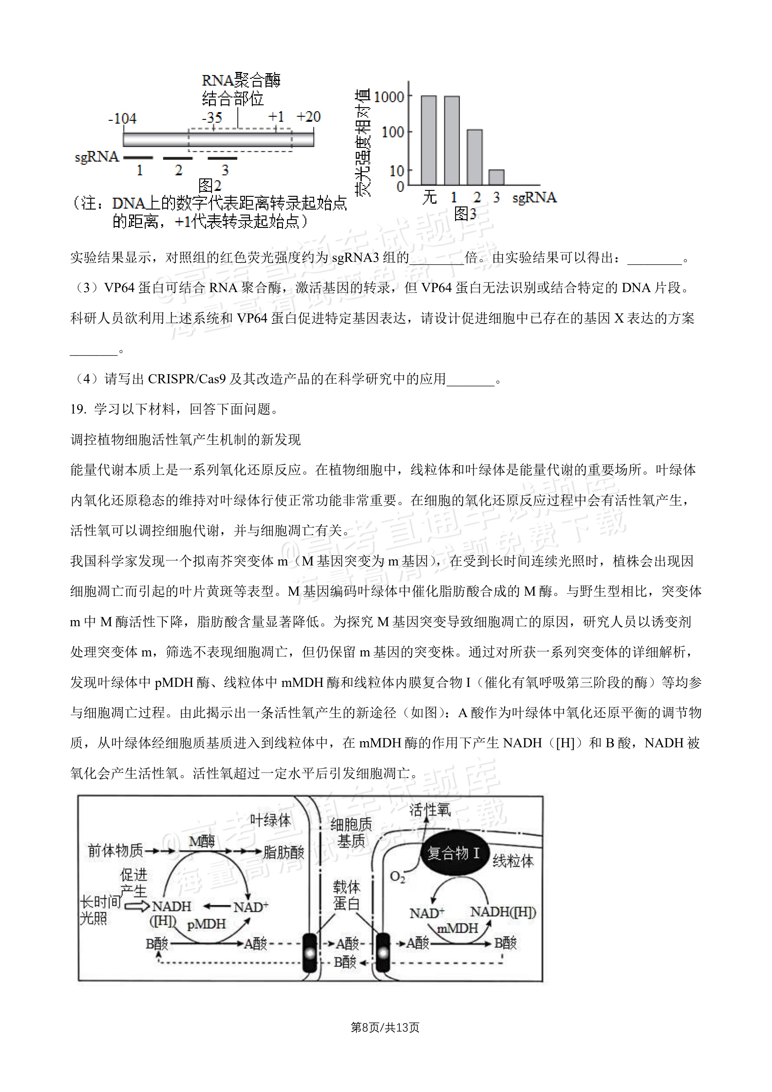 2027北师大附中高三上开学考生物试题及参考答案 第8页