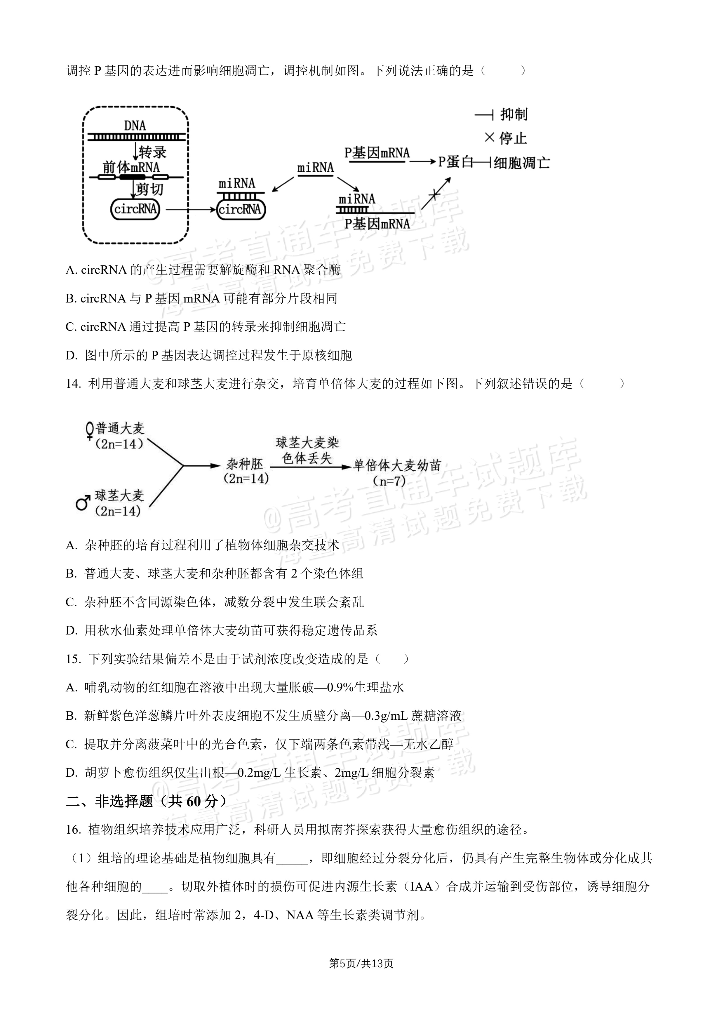 2027北师大附中高三上开学考生物试题及参考答案 第5页