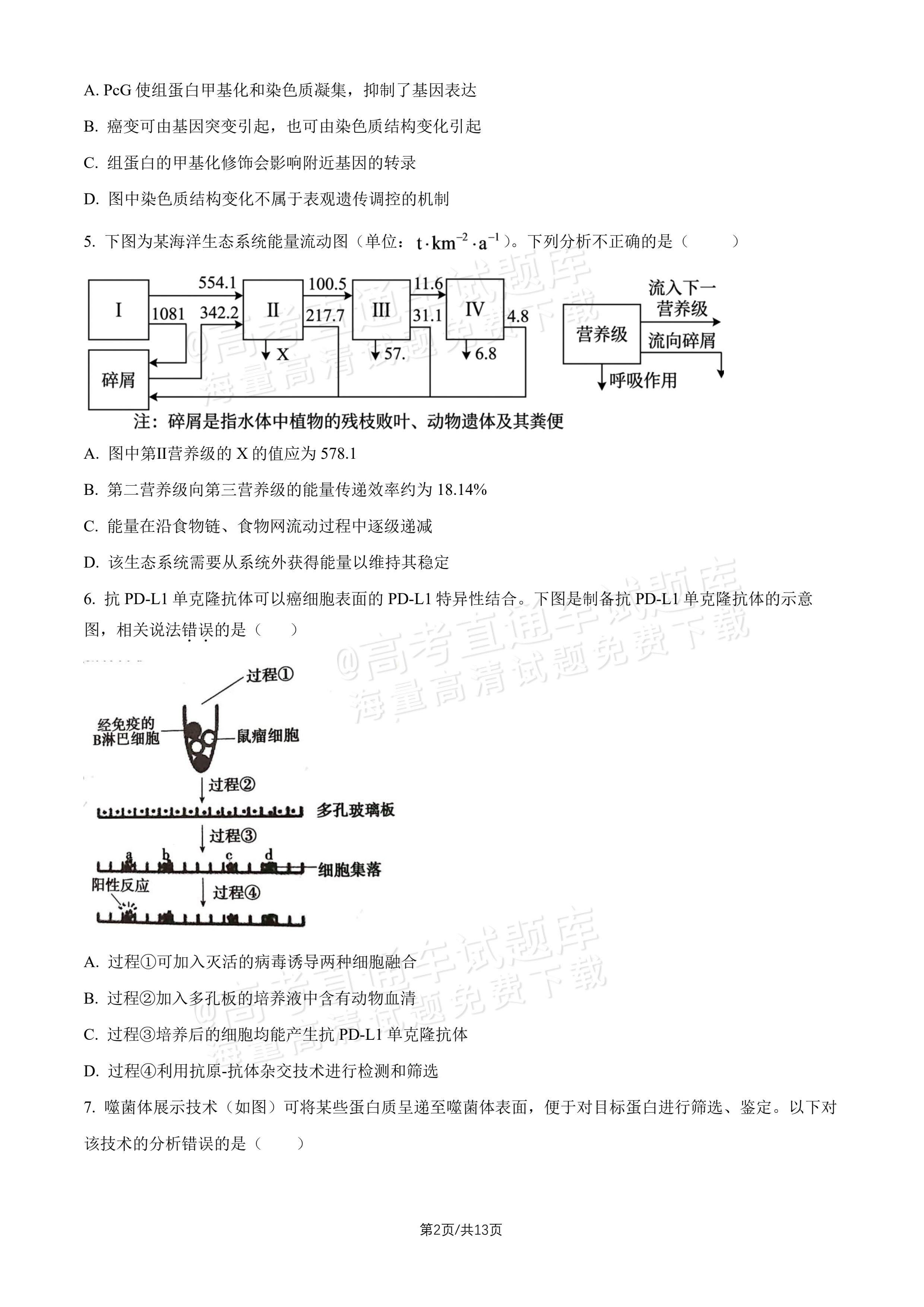 2027北师大附中高三上开学考生物试题及参考答案 第2页