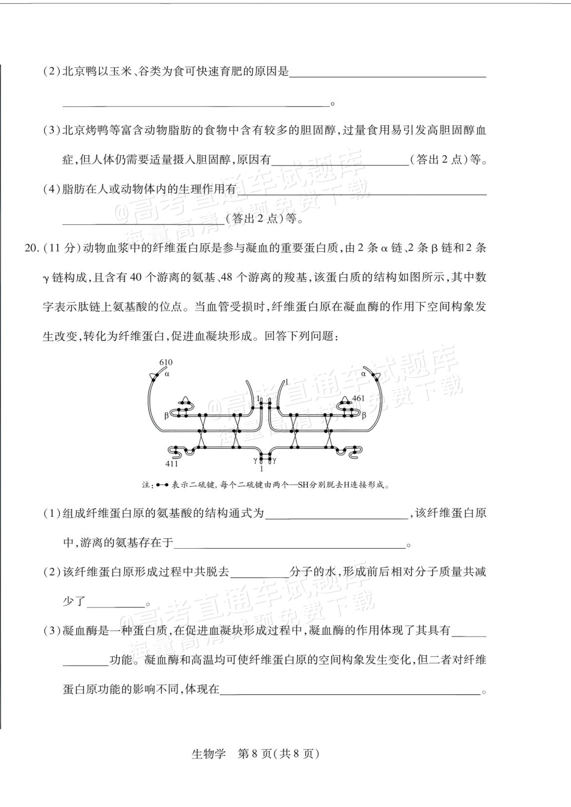 2027安徽省县中联盟高一10月联考生物试题及参考答案 第16页