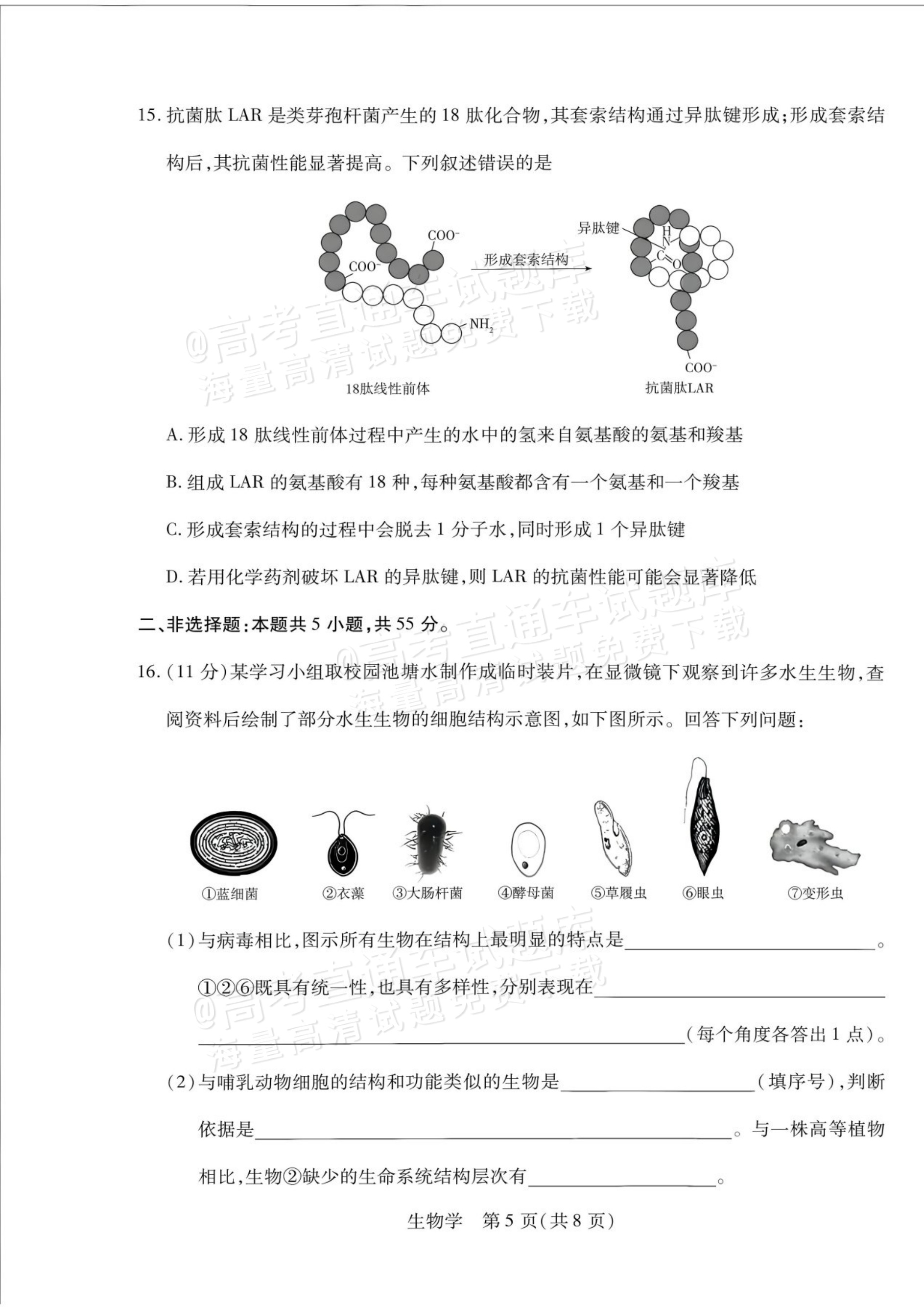 2027安徽省县中联盟高一10月联考生物试题及参考答案 第13页