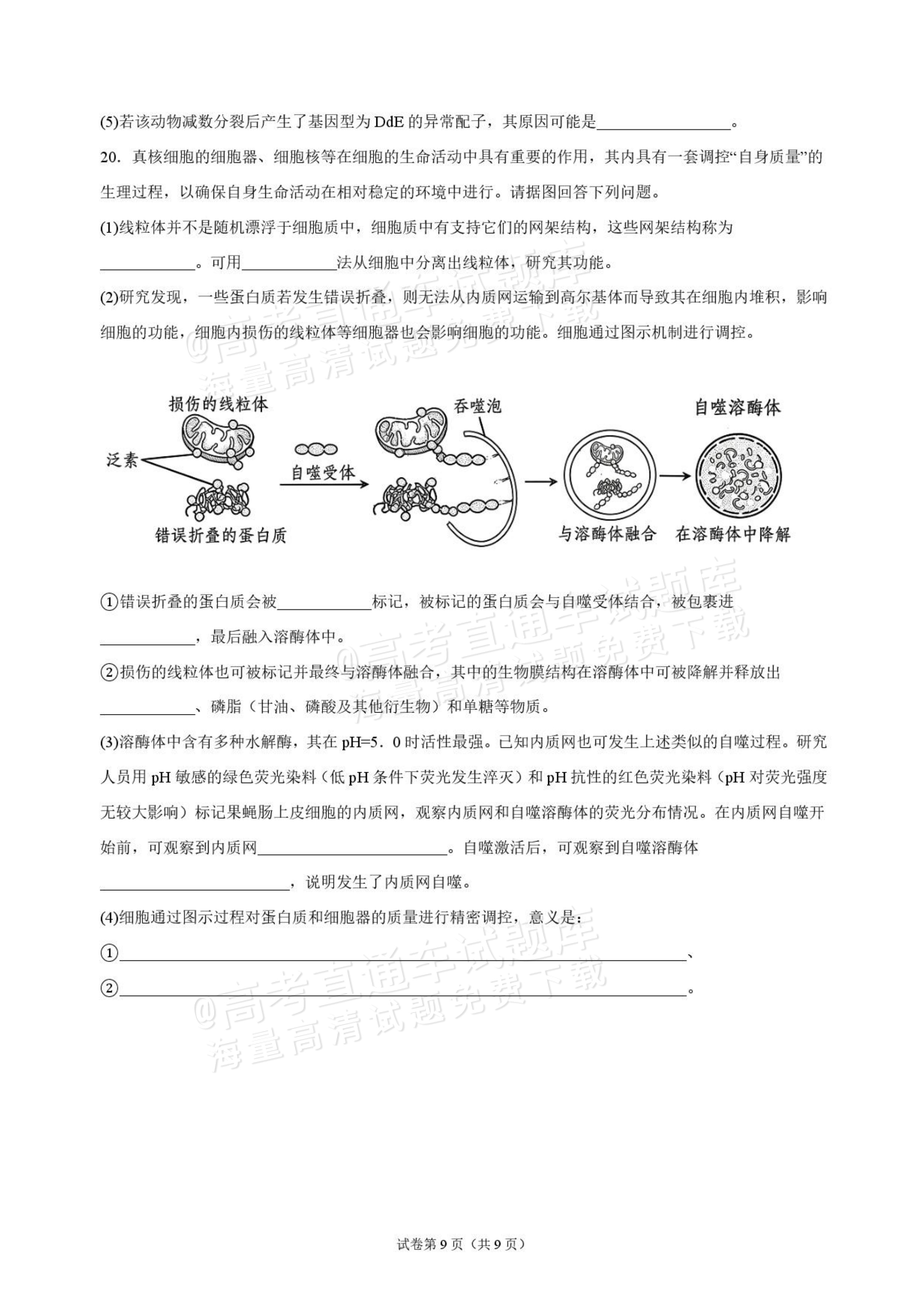 2027海南琼海嘉积中学高三随堂练习（二）生物试题及答案 第9页
