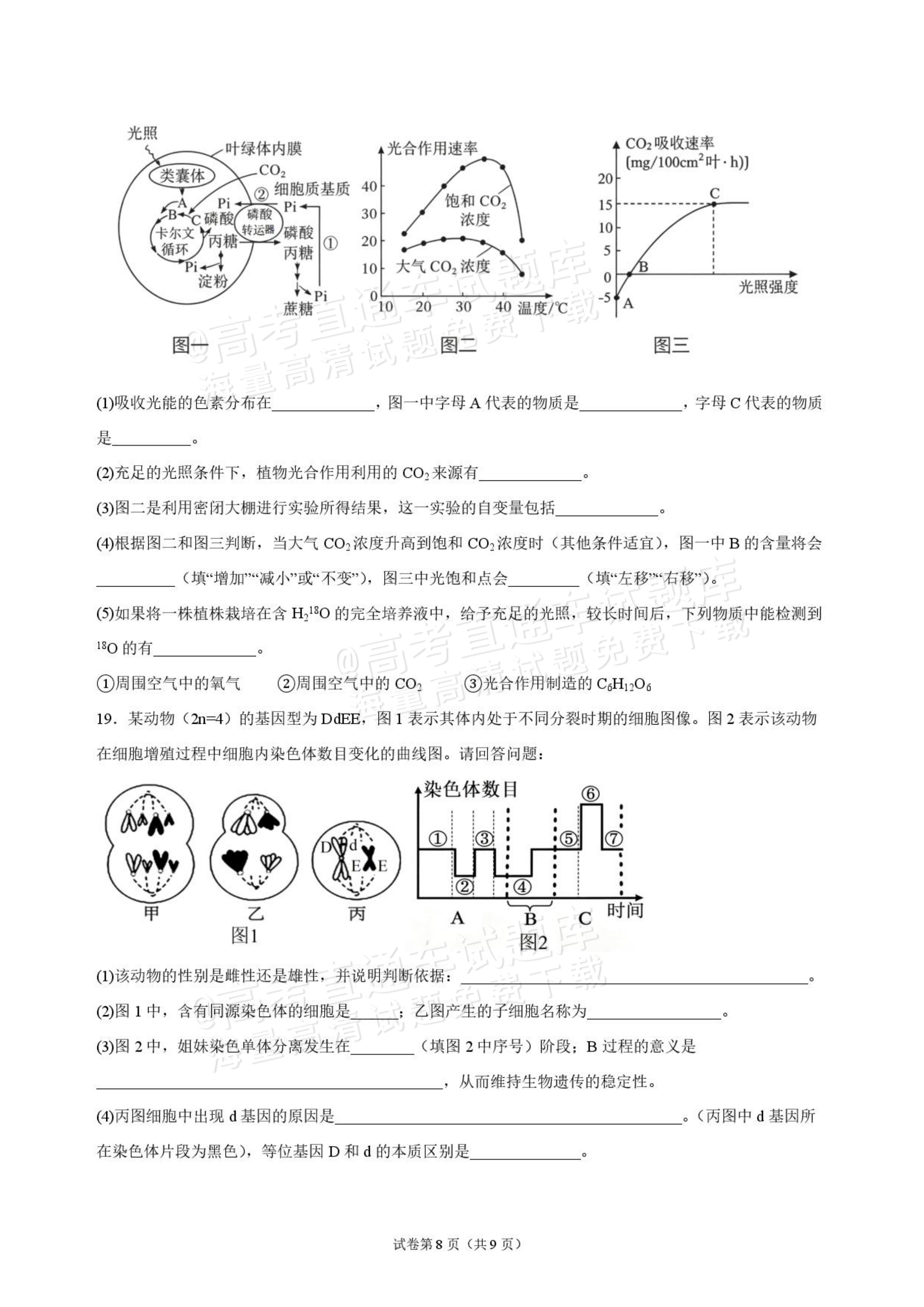 2027海南琼海嘉积中学高三随堂练习（二）生物试题及答案 第8页