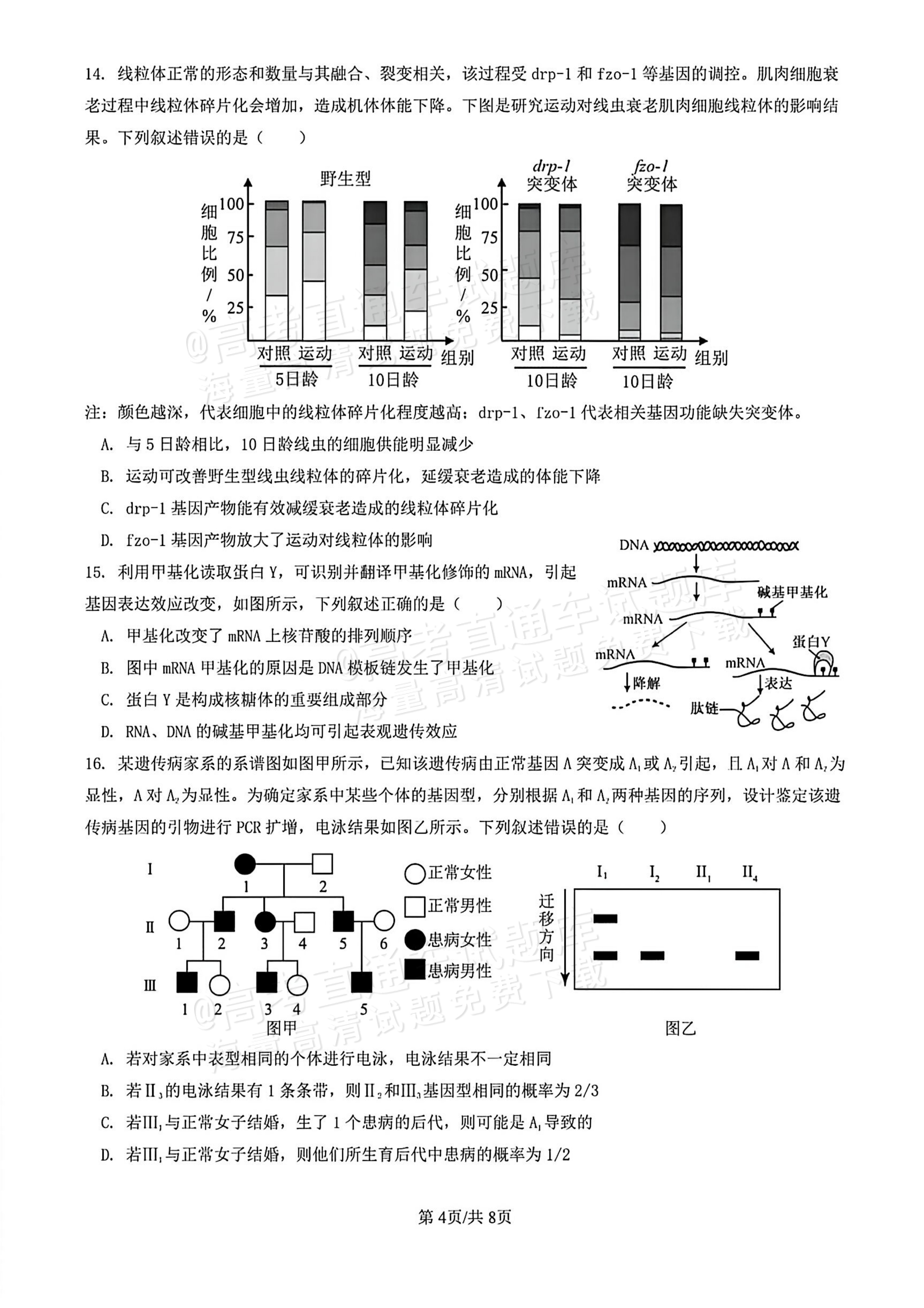 2026广州市天河区一模生物试题及参考答案 第4页