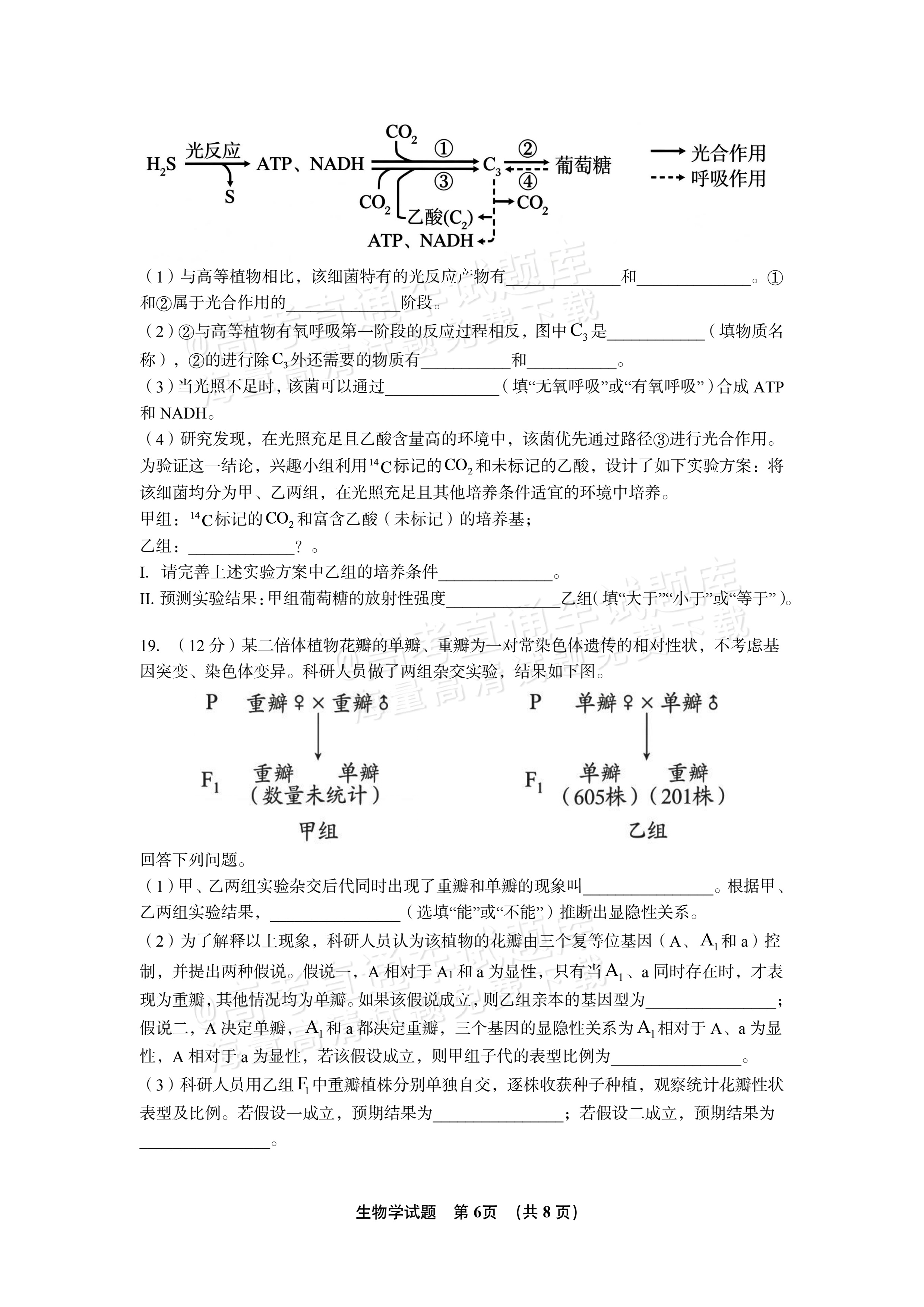2027江西南昌第二中学高三10月月考（一） 生物试题及参考答案 第6页