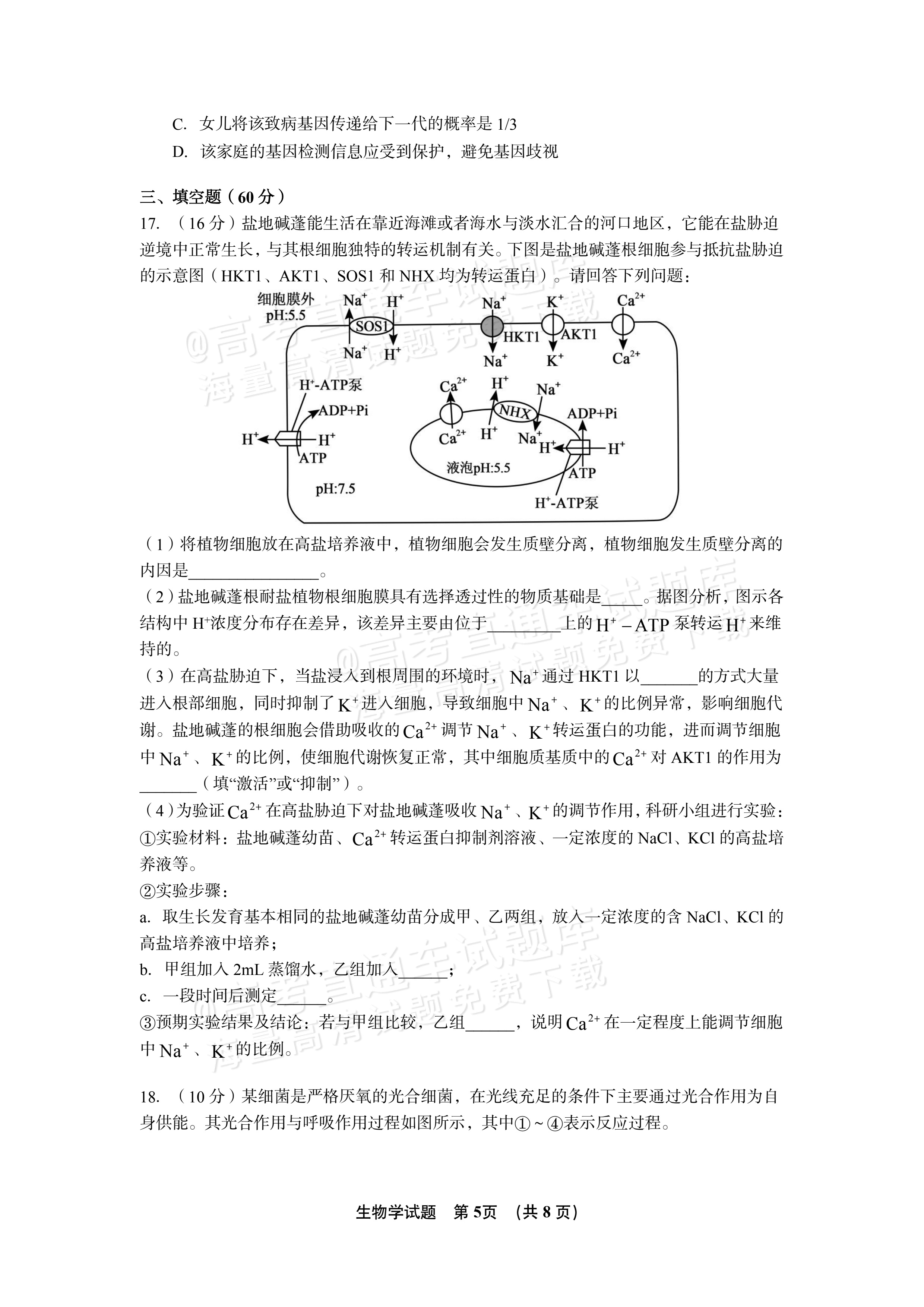 2027江西南昌第二中学高三10月月考（一） 生物试题及参考答案 第5页