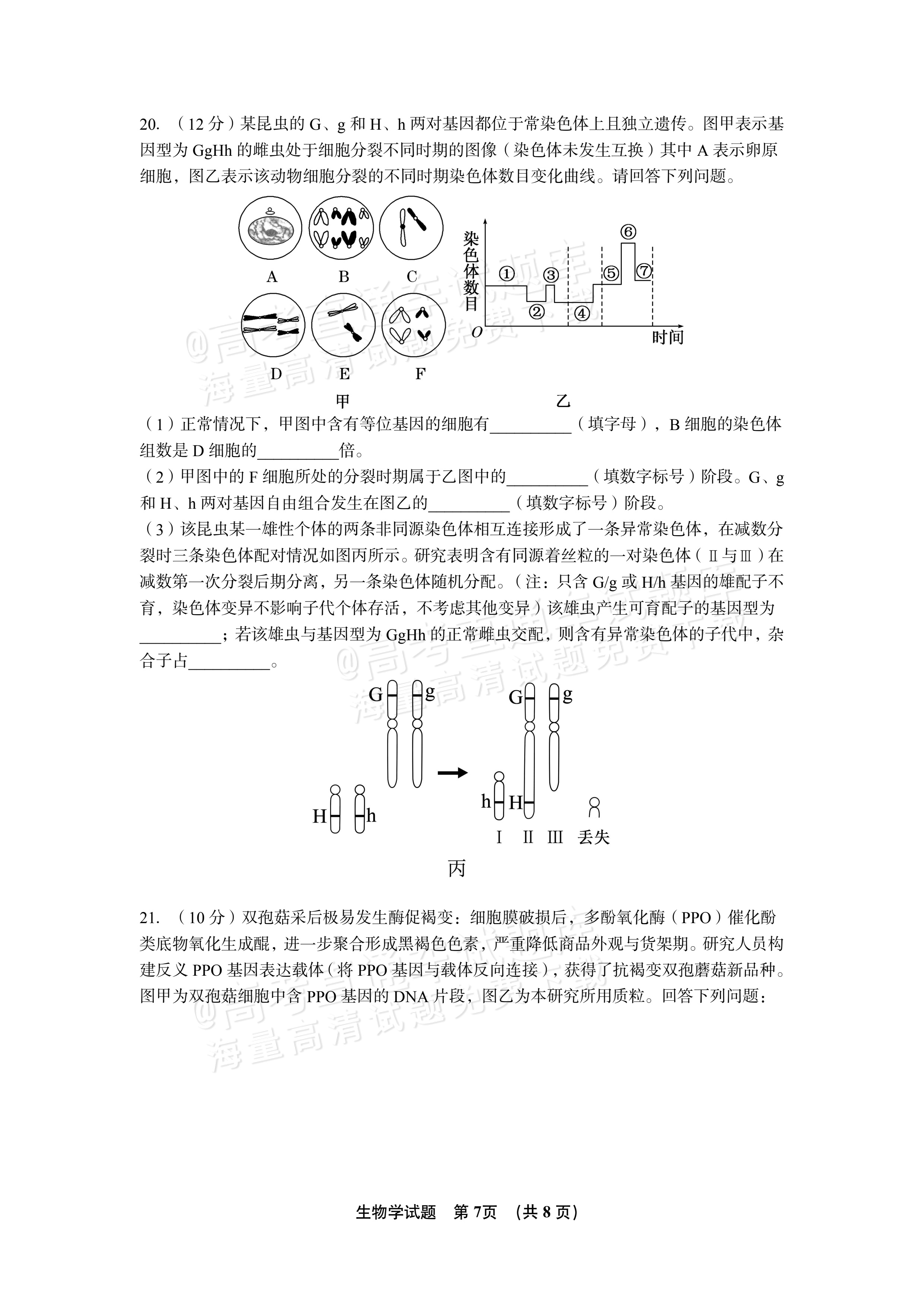 2027江西南昌第二中学高三10月月考（一） 生物试题及参考答案 第7页