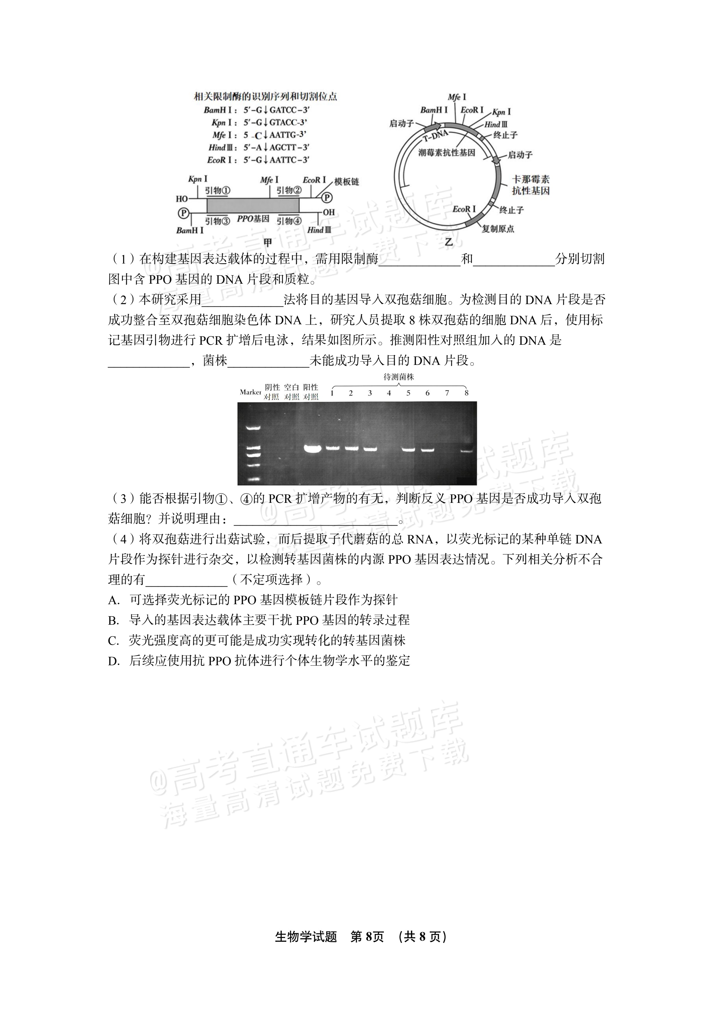 2027江西南昌第二中学高三10月月考（一） 生物试题及参考答案 第8页
