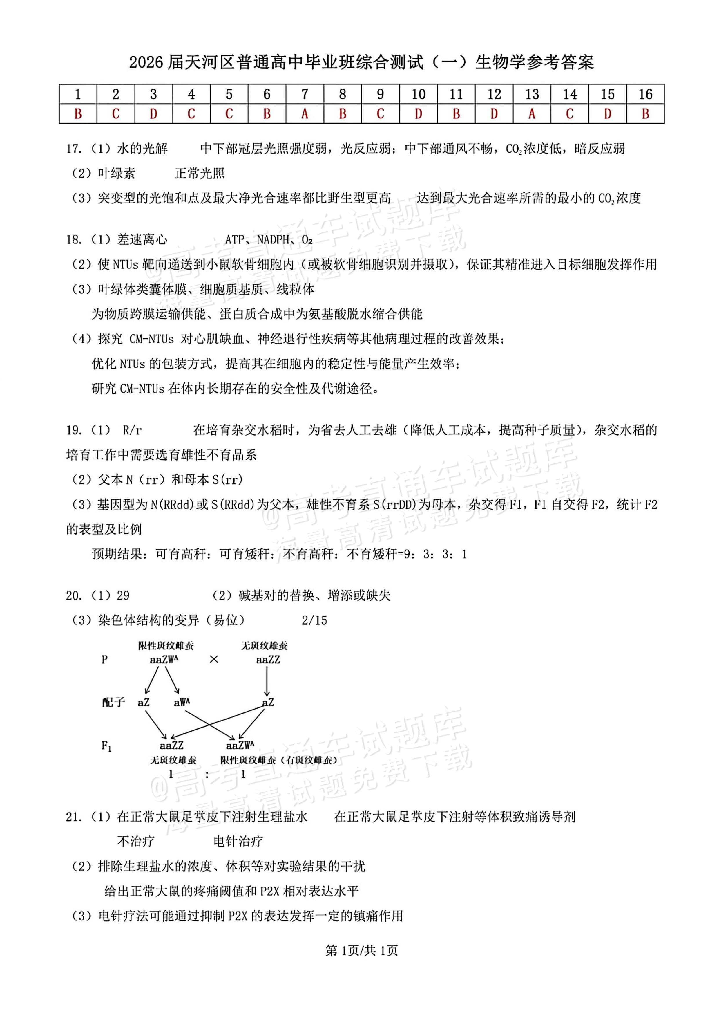 2026广州市天河区一模生物试题及参考答案 答案 第1页