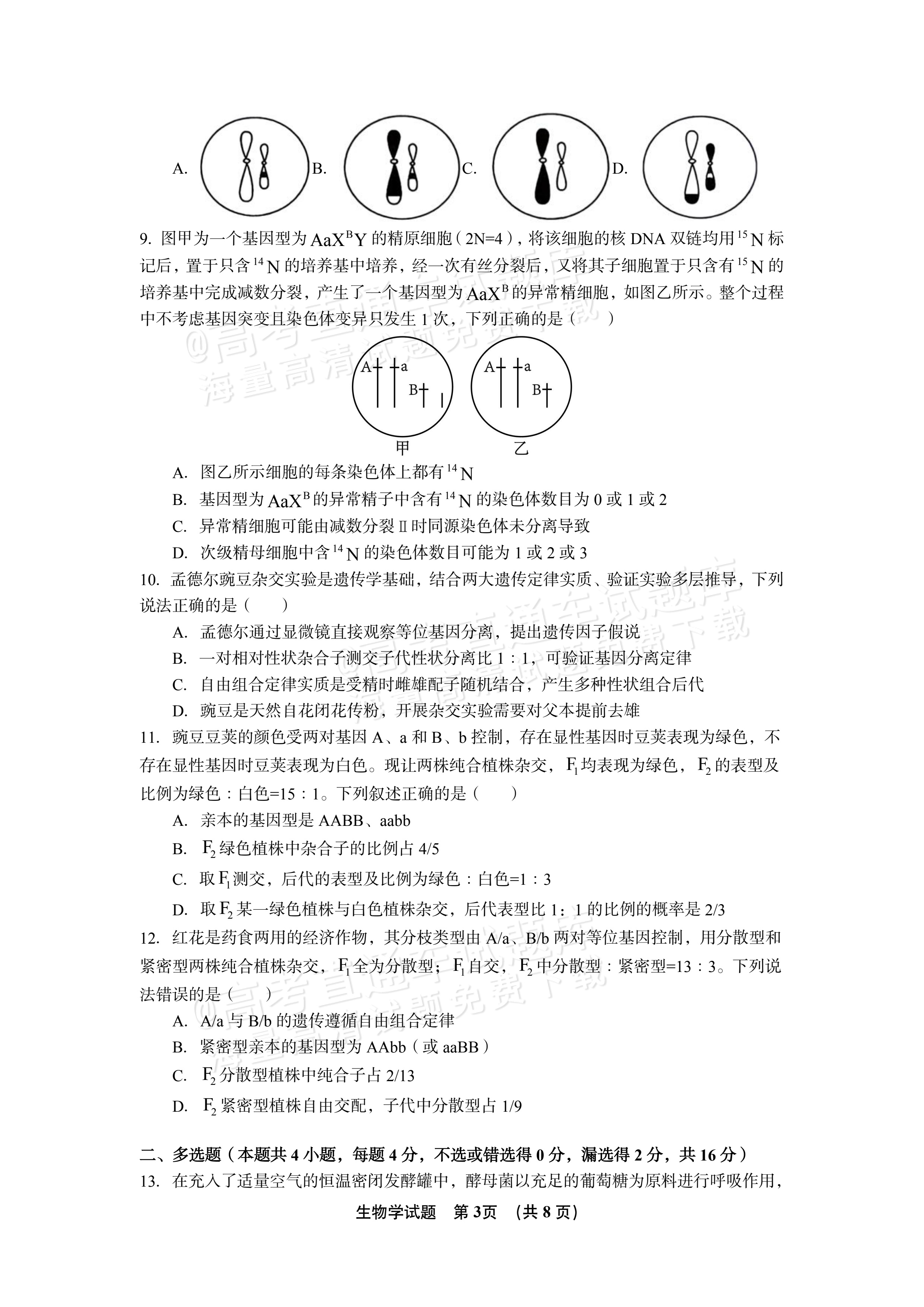 2027江西南昌第二中学高三10月月考（一） 生物试题及参考答案 第3页