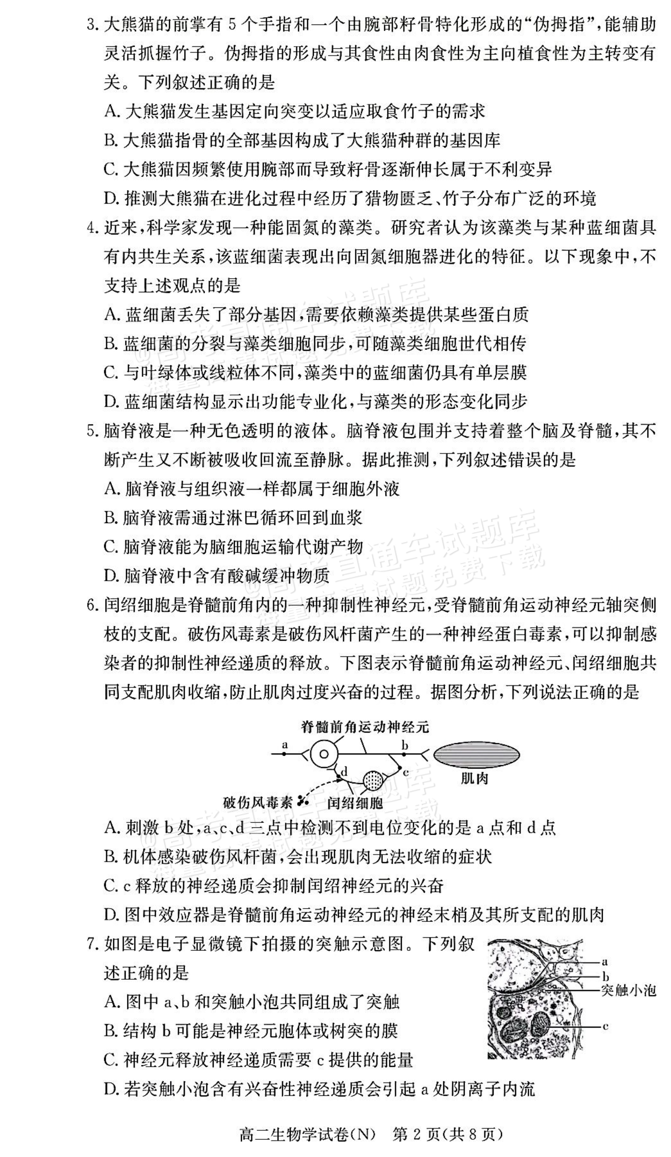 2027湖南省长沙市长郡联考高二上10月练习（N）生物试题及参考答案 第2页