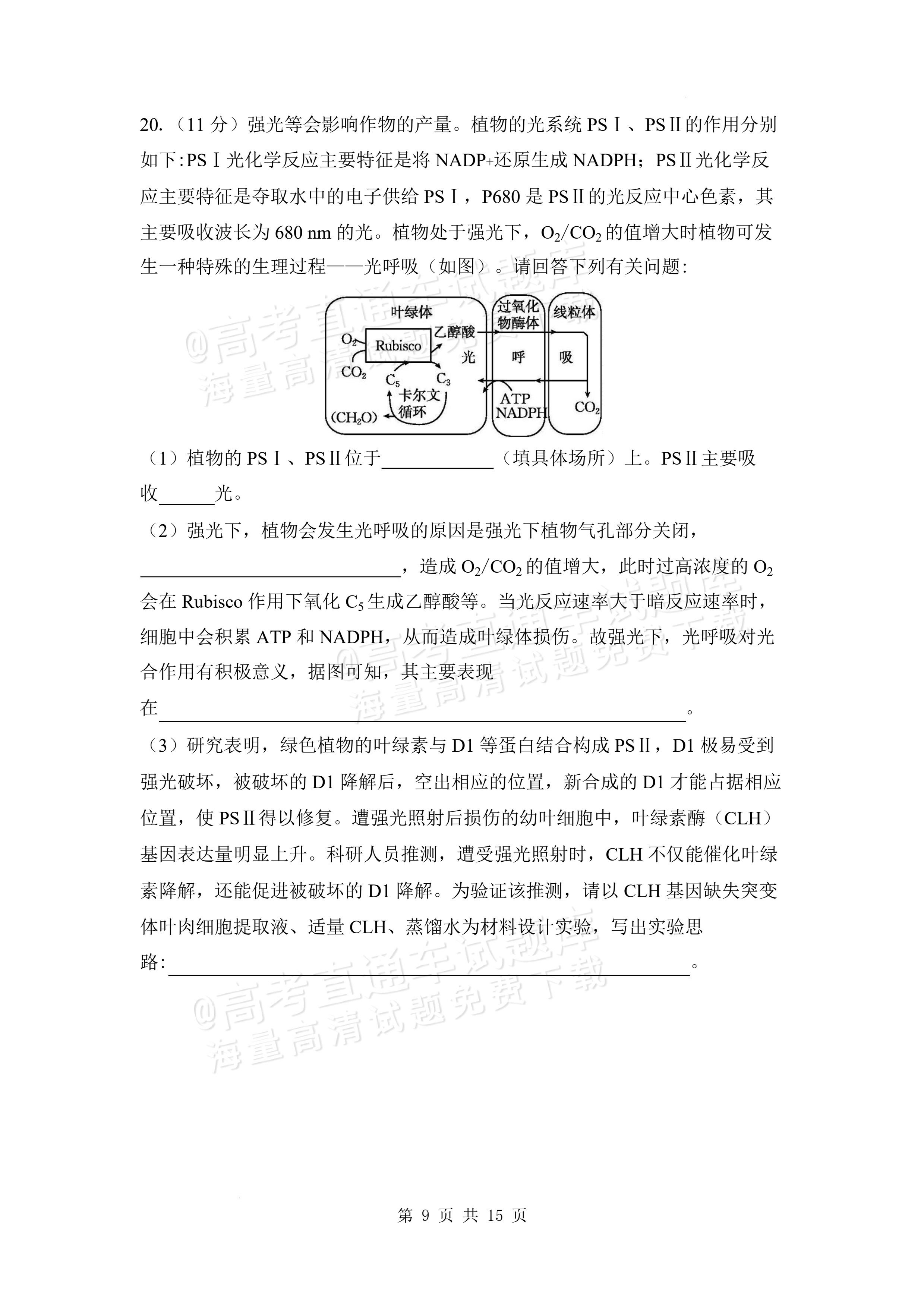 2027安徽阜阳市临泉田家炳实验中学高三上9月阶段检测生物试题及参考答案 第9页