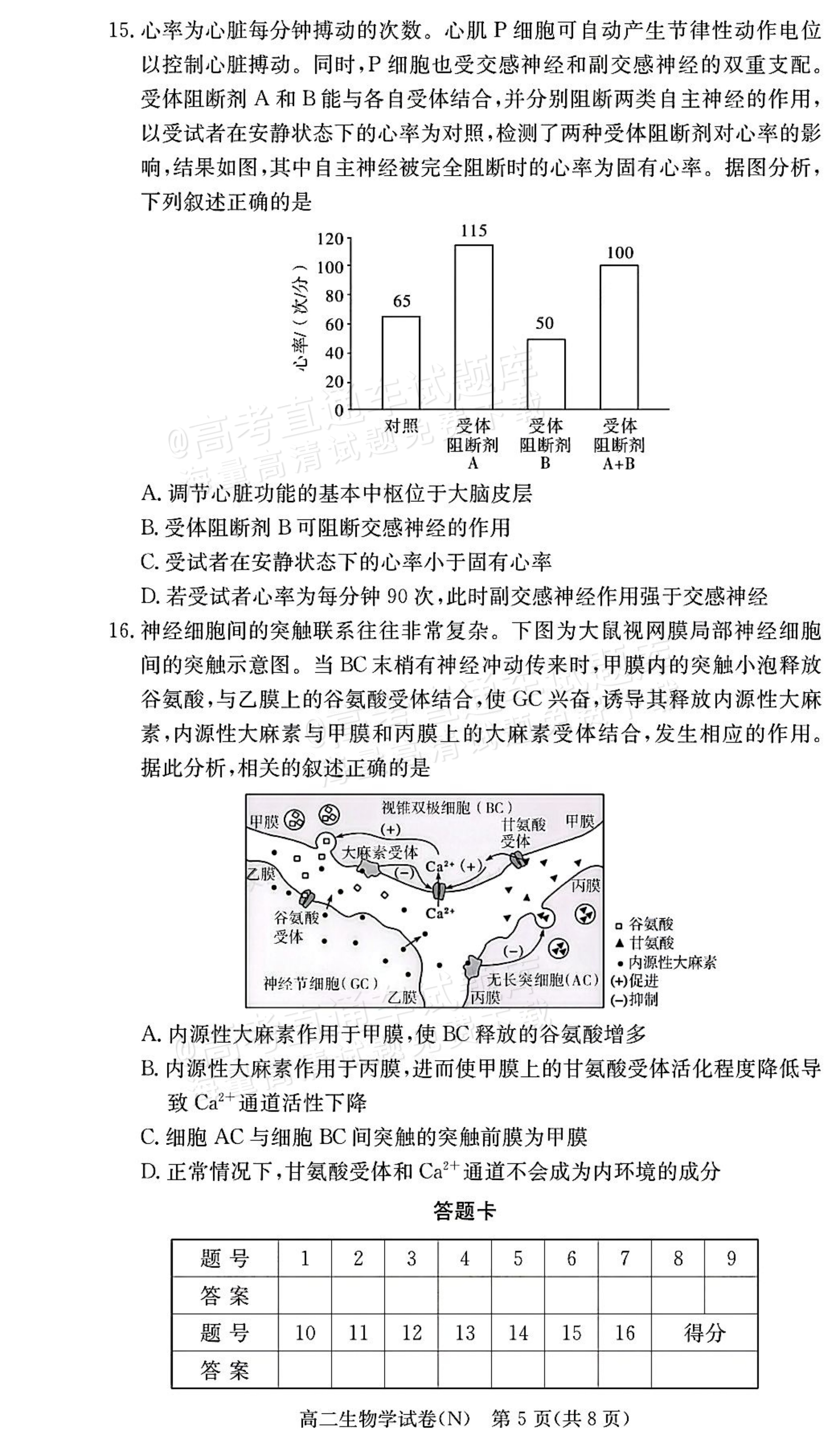 2027湖南省长沙市长郡联考高二上10月练习（N）生物试题及参考答案 第5页