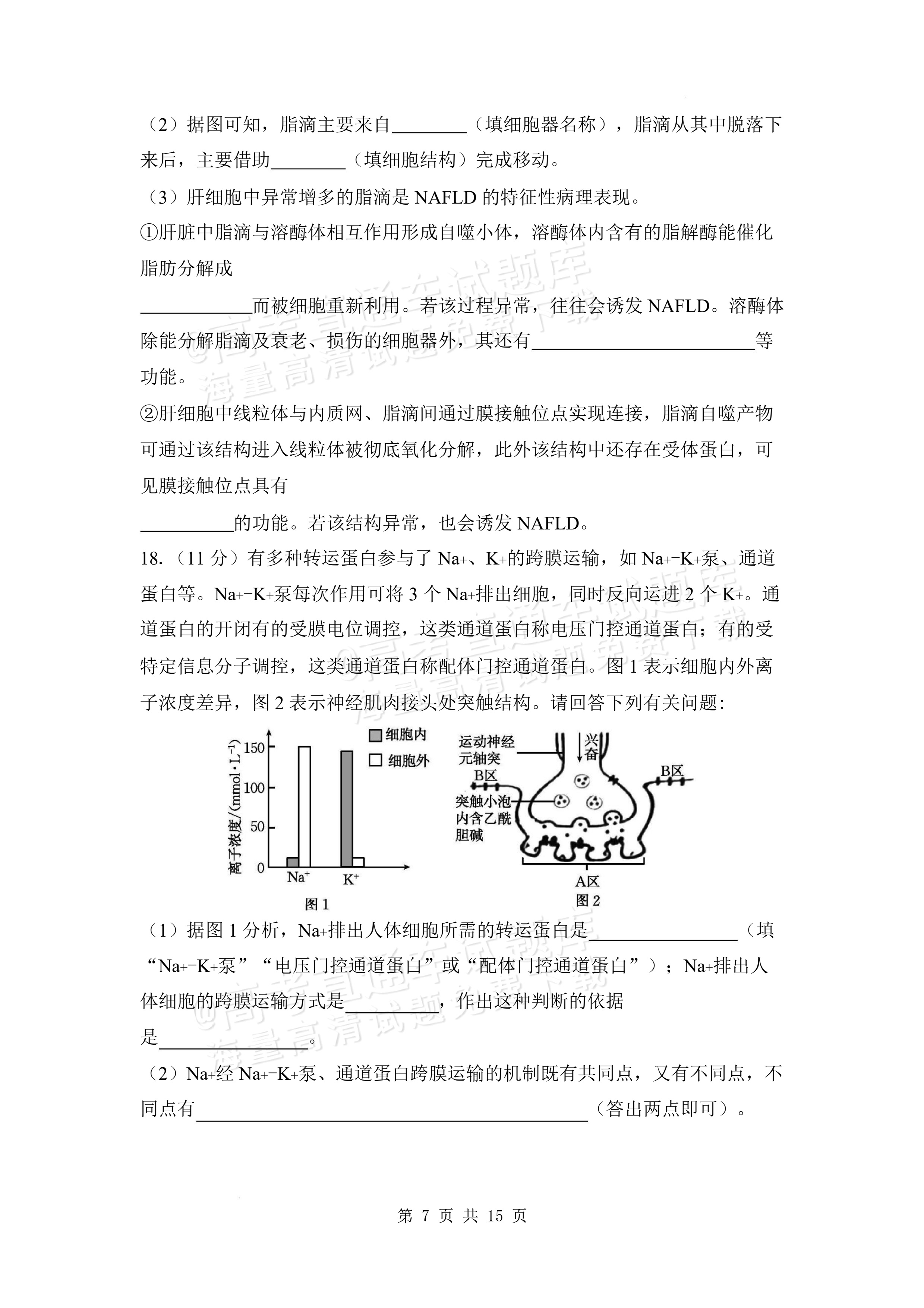 2027安徽阜阳市临泉田家炳实验中学高三上9月阶段检测生物试题及参考答案 第7页