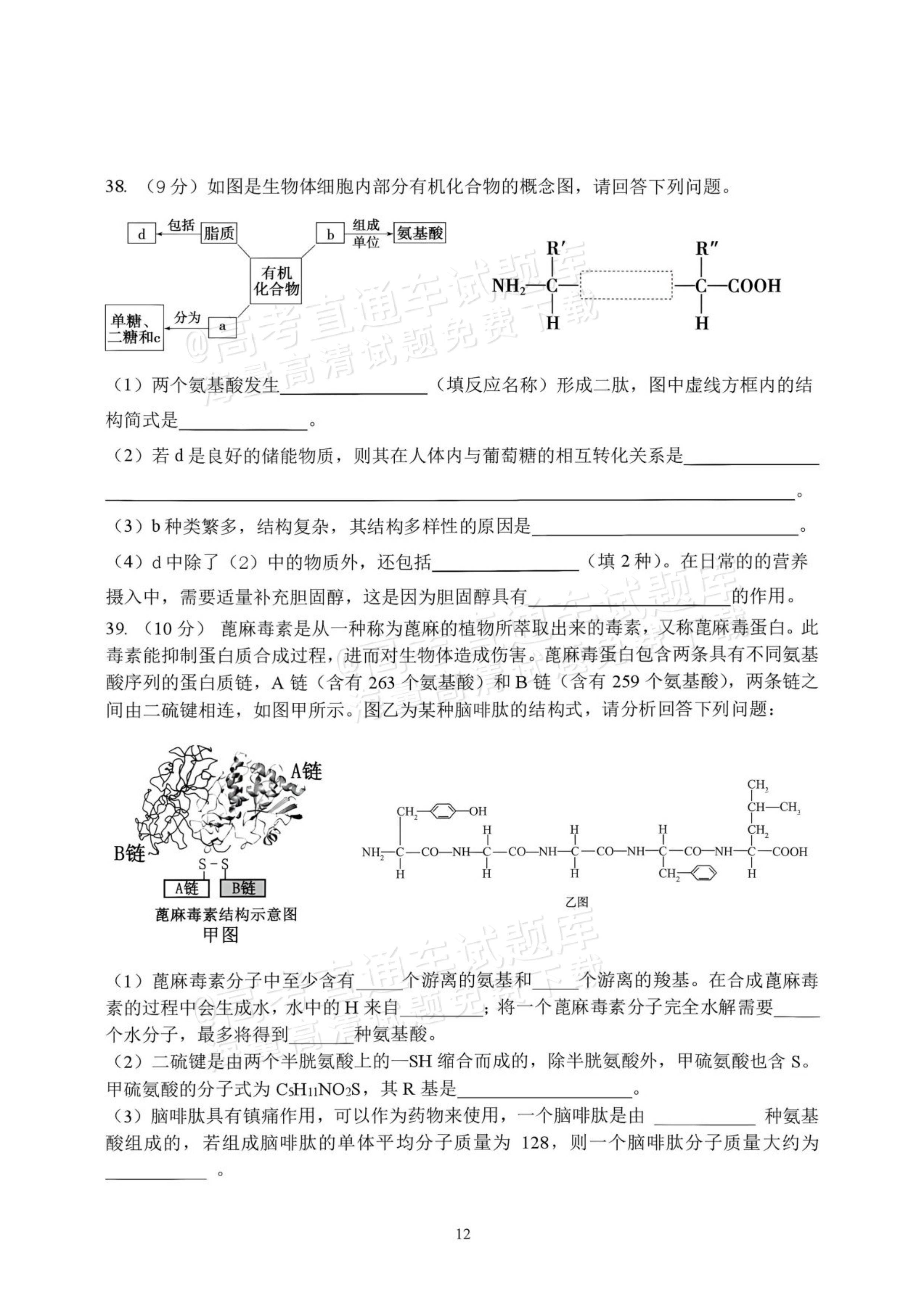 2027黑龙江省哈尔滨市第三中学高一上10月月考生物试题及参考答案 第12页